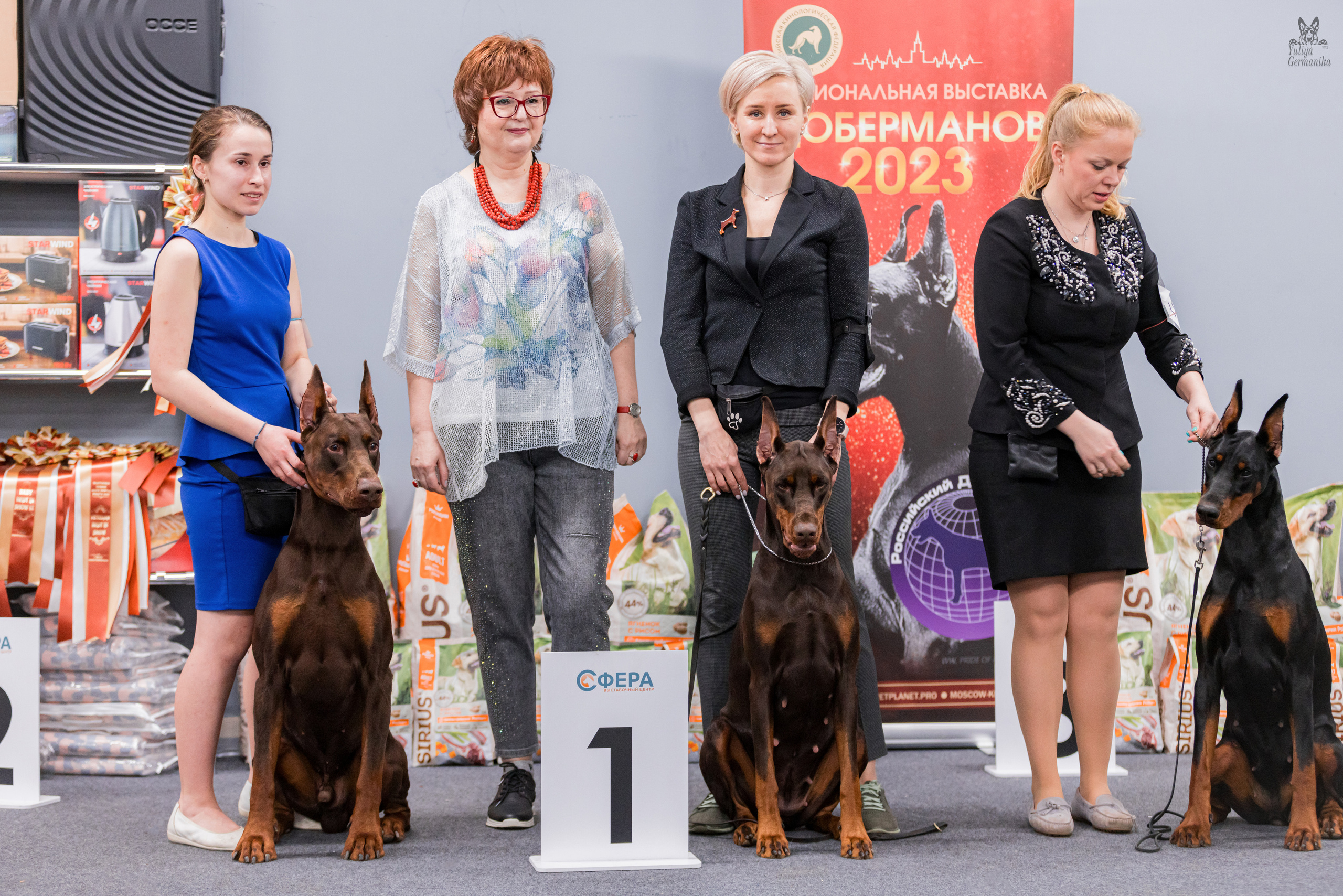 Сфера+доберманы 02.04.2023. Фотограф-анималист Юлия Германика