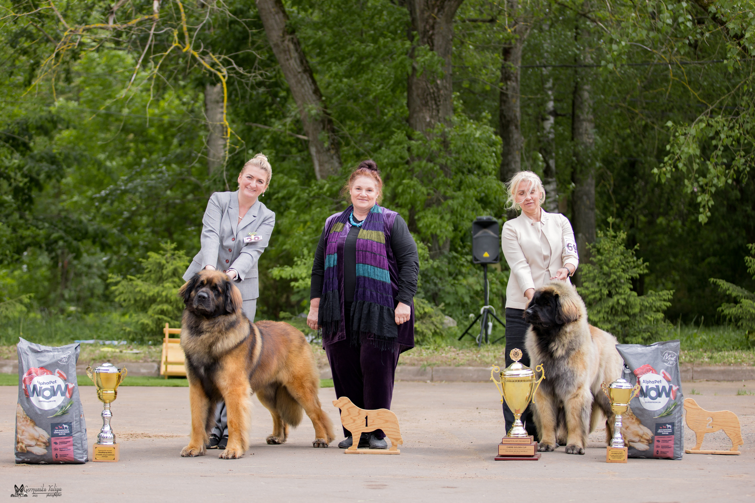 Националка Леонбергеров 28.05.2023. Фотограф-анималист Юлия Германика