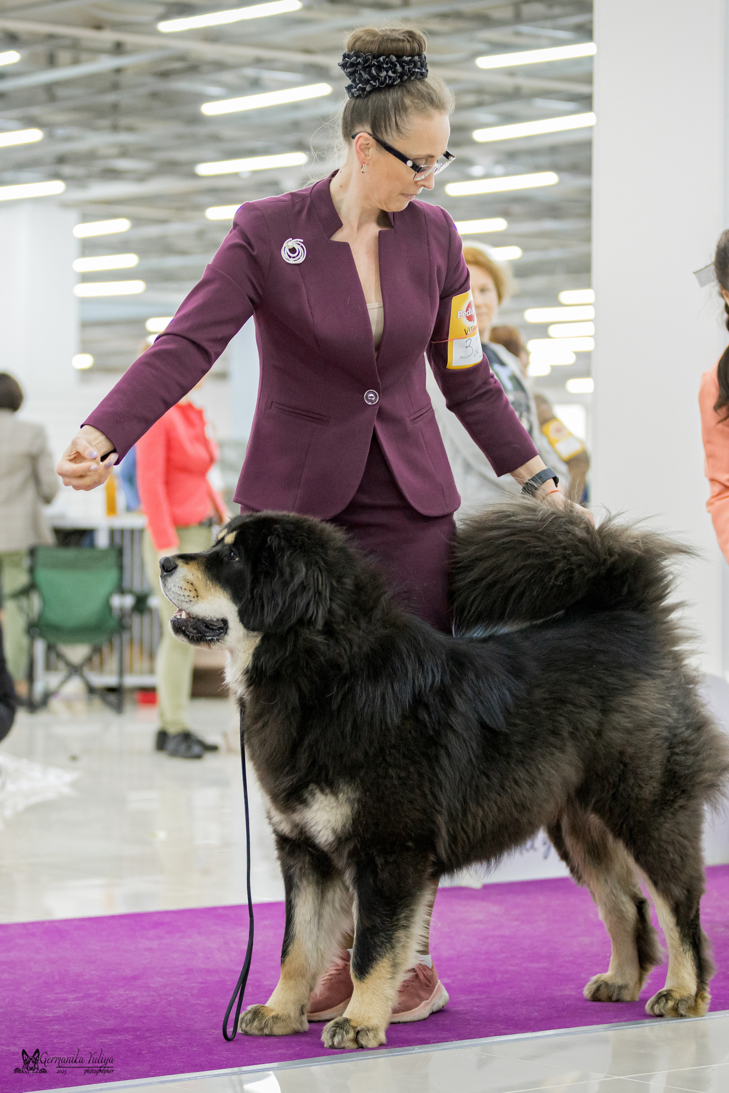 Сфера+МД 8-9.04.2023. Фотограф-анималист Юлия Германика