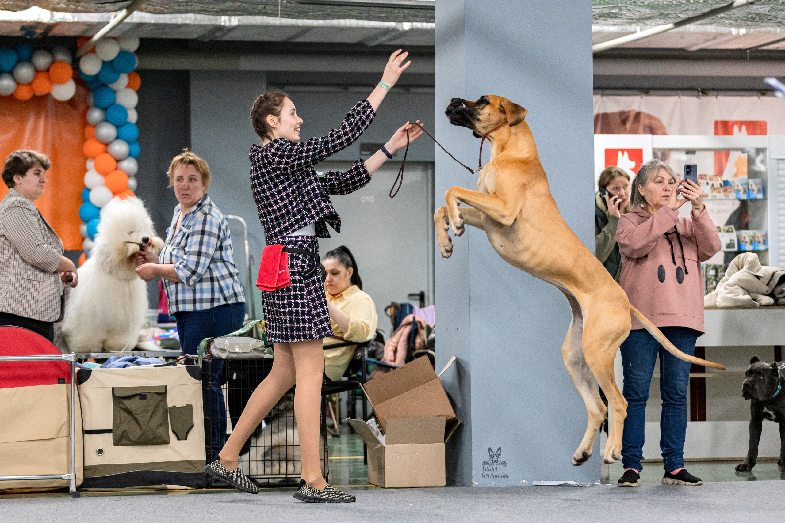 Сфера 25-26.03.2023. Фотограф-анималист Юлия Германика