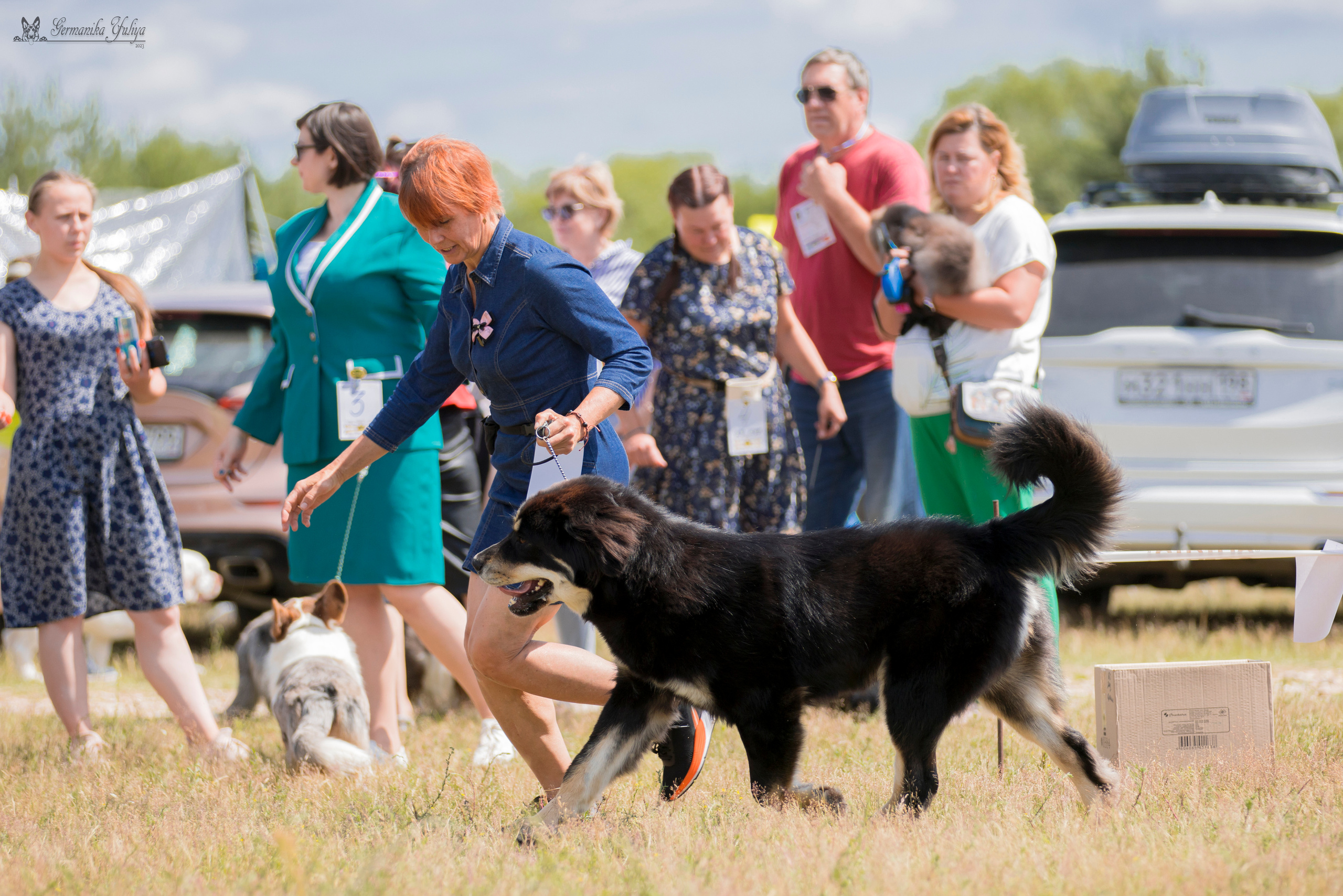 Волжанка 8.07.2023. Фотограф-анималист Юлия Германика