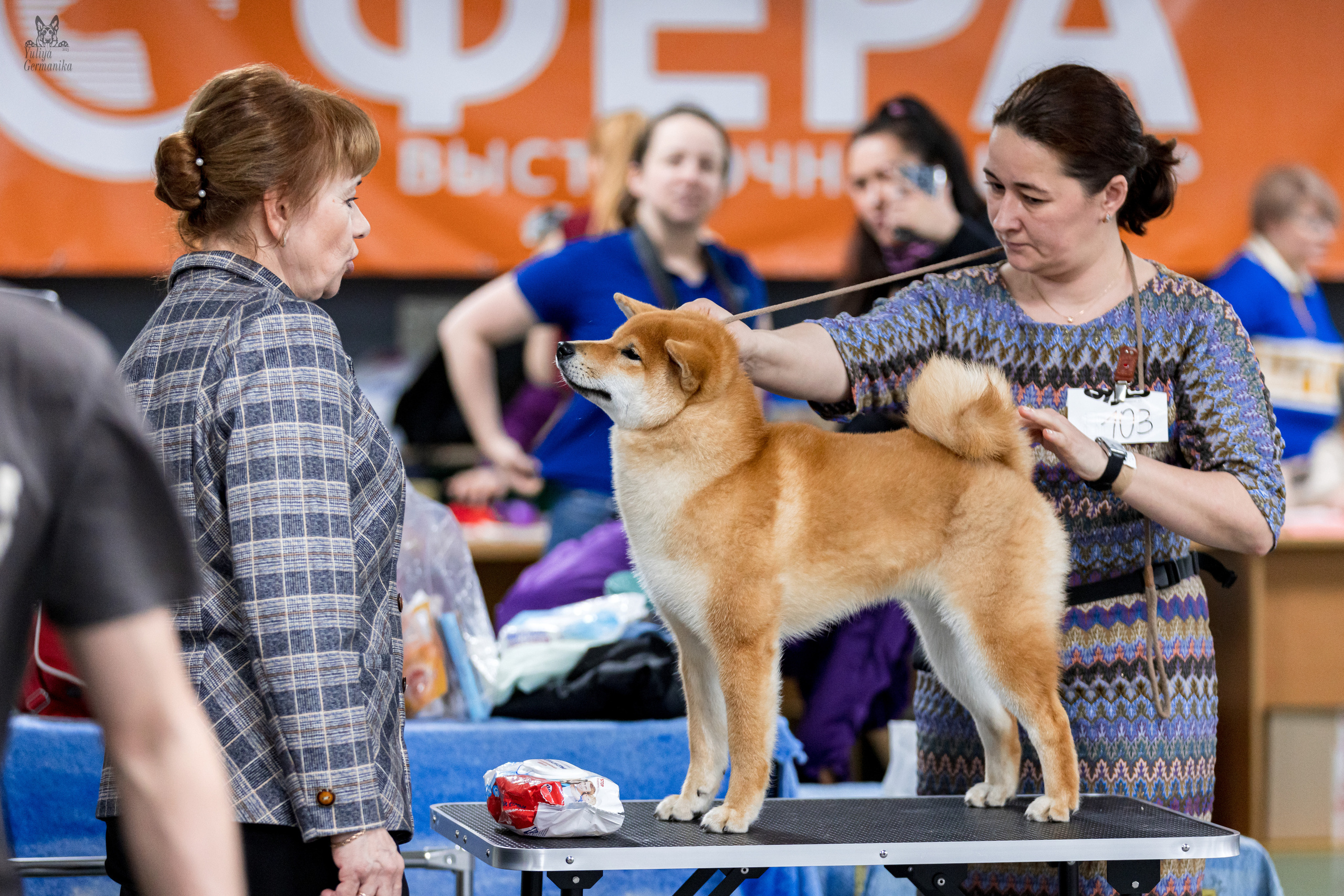 Сфера 25-26.03.2023. Фотограф-анималист Юлия Германика