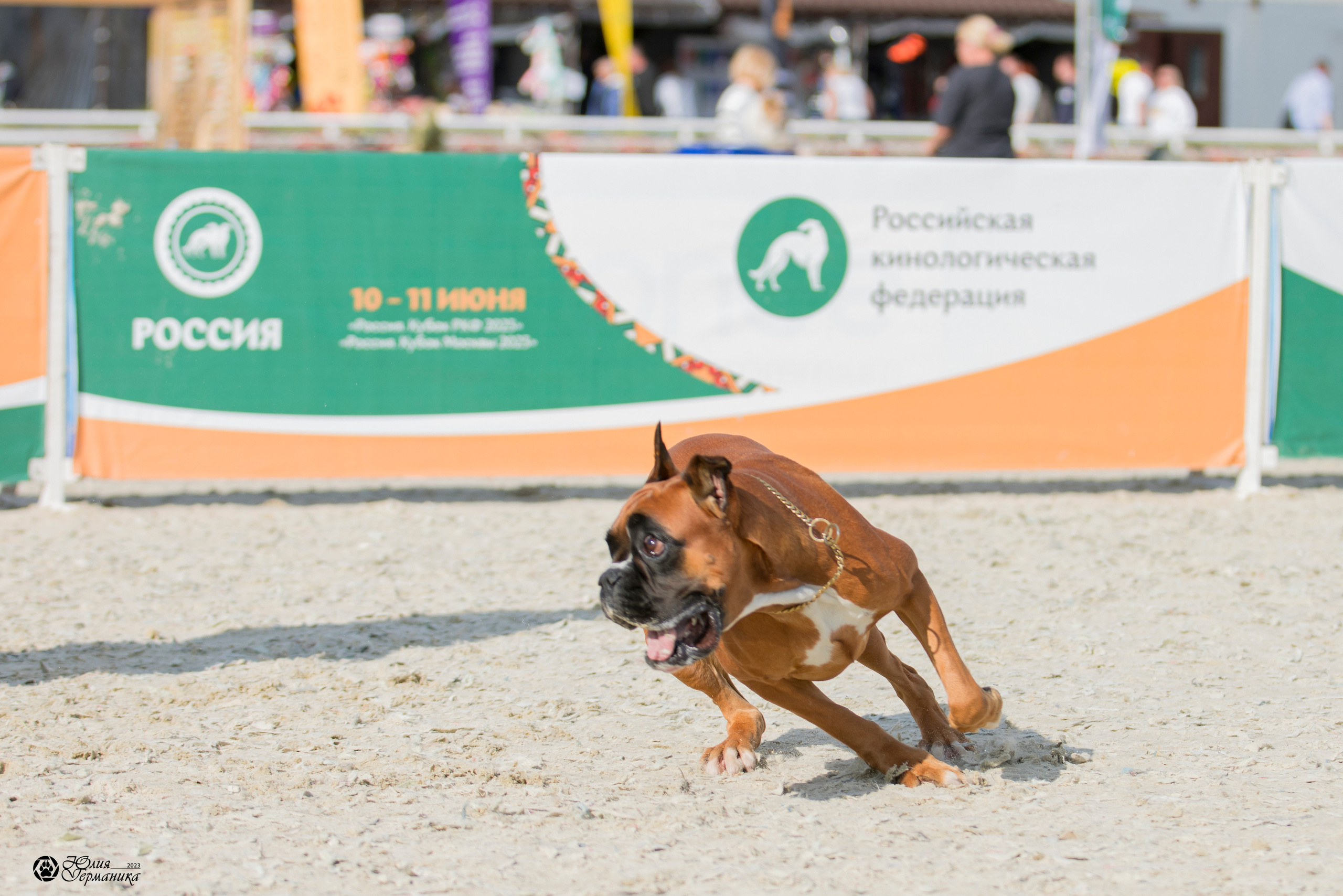 Россия 10-11.06.2023. Фотограф-анималист Юлия Германика
