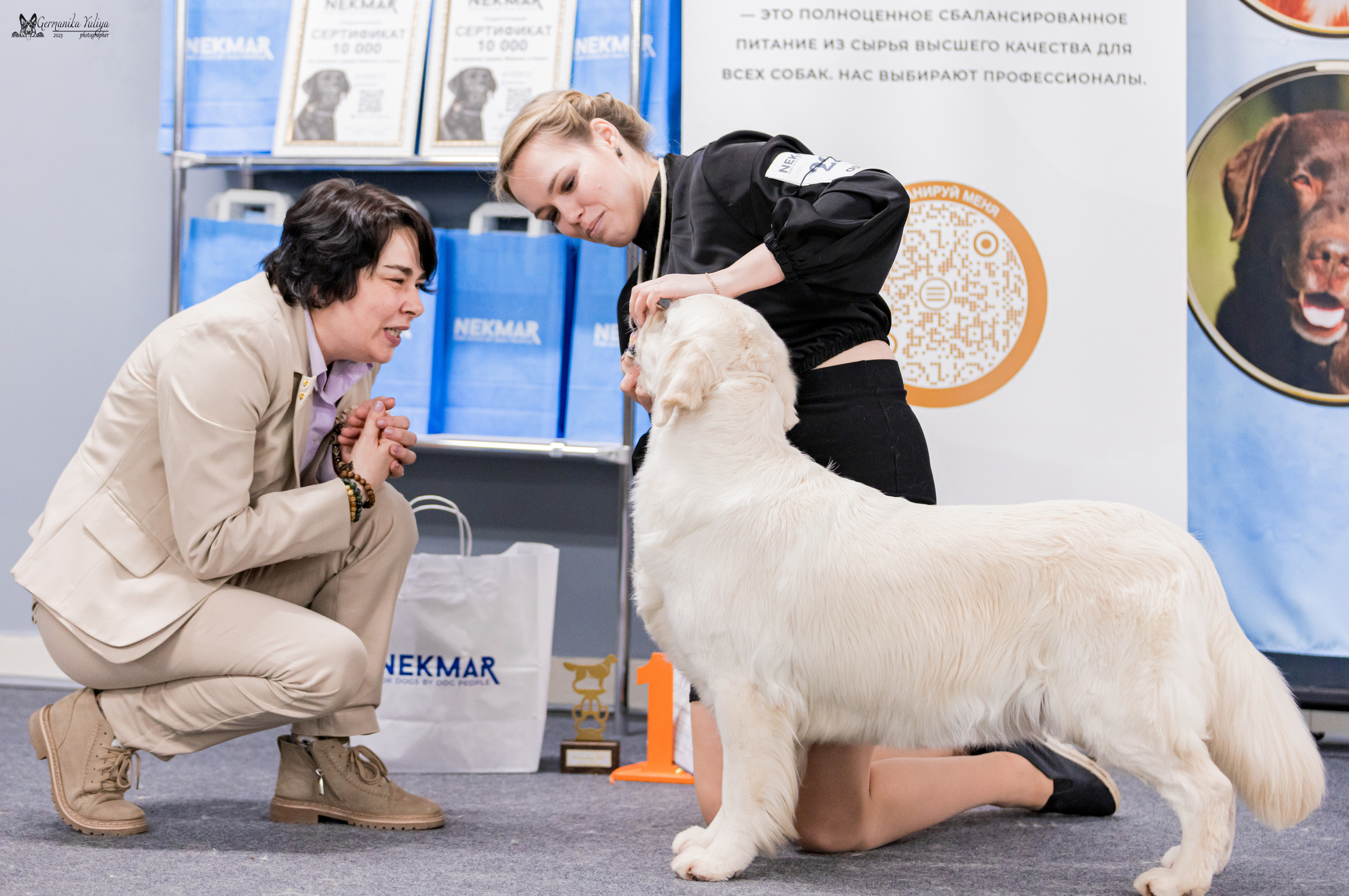 Сфера+МД 8-9.04.2023. Фотограф-анималист Юлия Германика