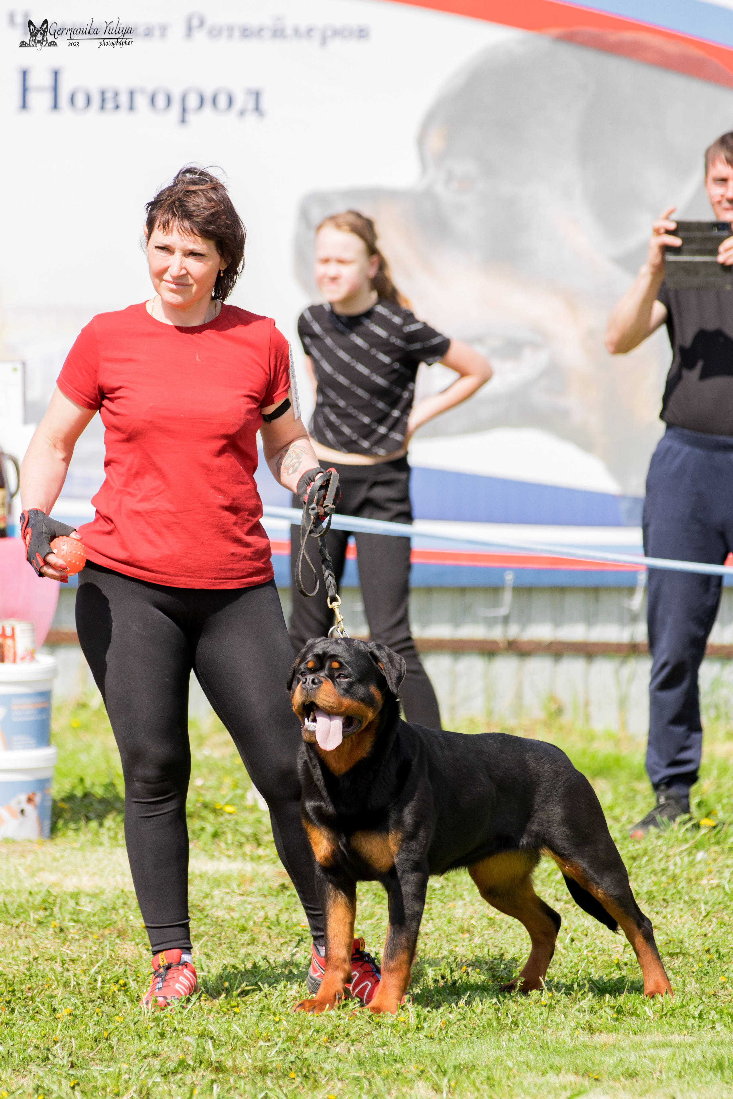 Нижний Новгород моно ротвейлеров 13.05.2023. Фотограф-анималист Юлия Германика