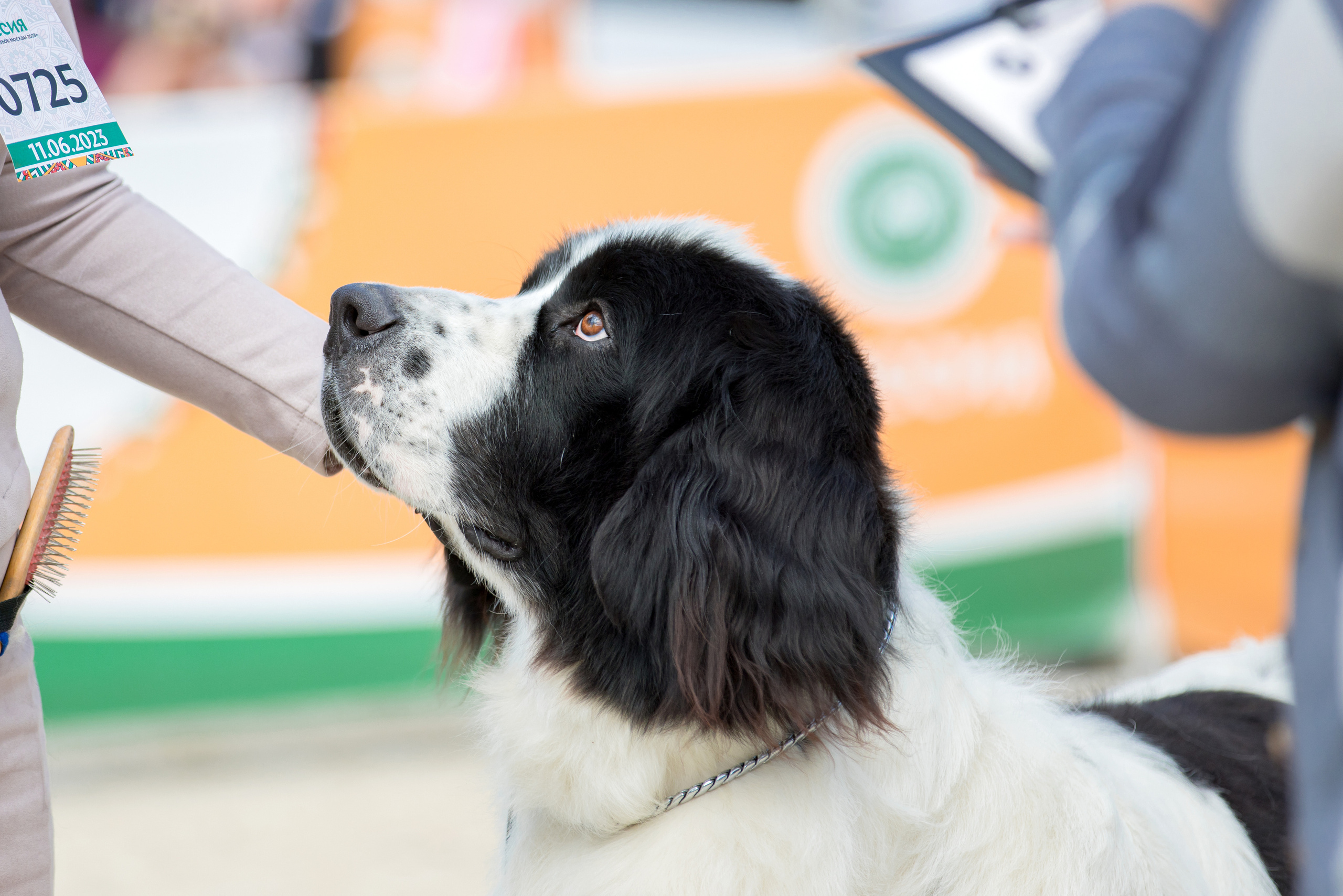 Россия 10-11.06.2023. Фотограф-анималист Юлия Германика