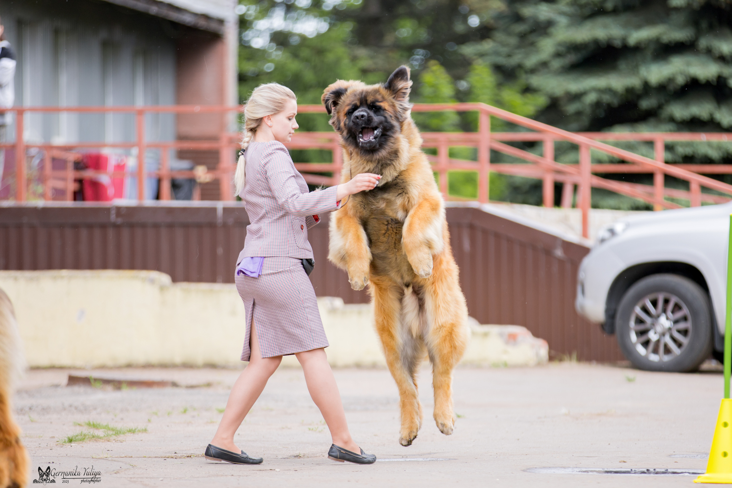 Националка Леонбергеров 28.05.2023. Фотограф-анималист Юлия Германика