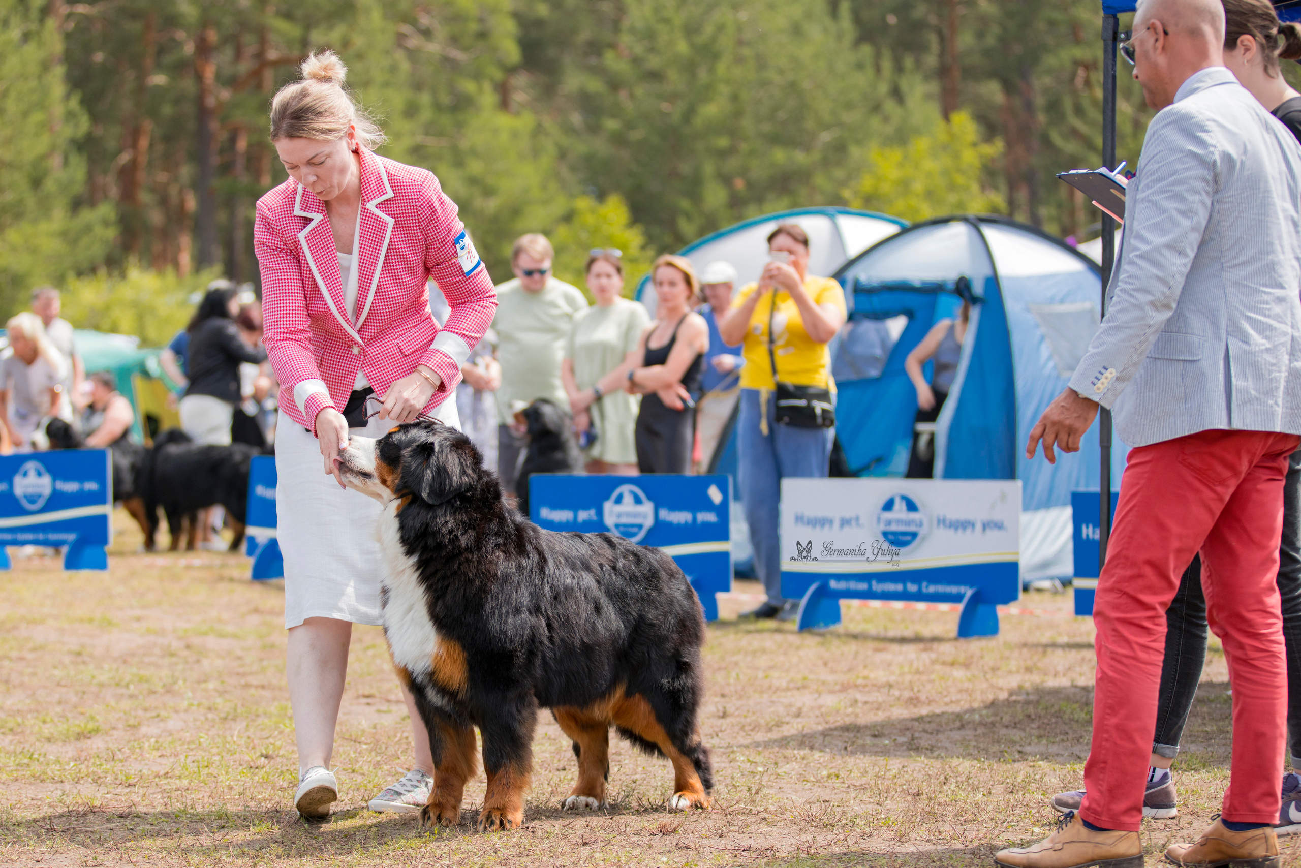 Владимир 1-2.07.2023. Фотограф-анималист Юлия Германика