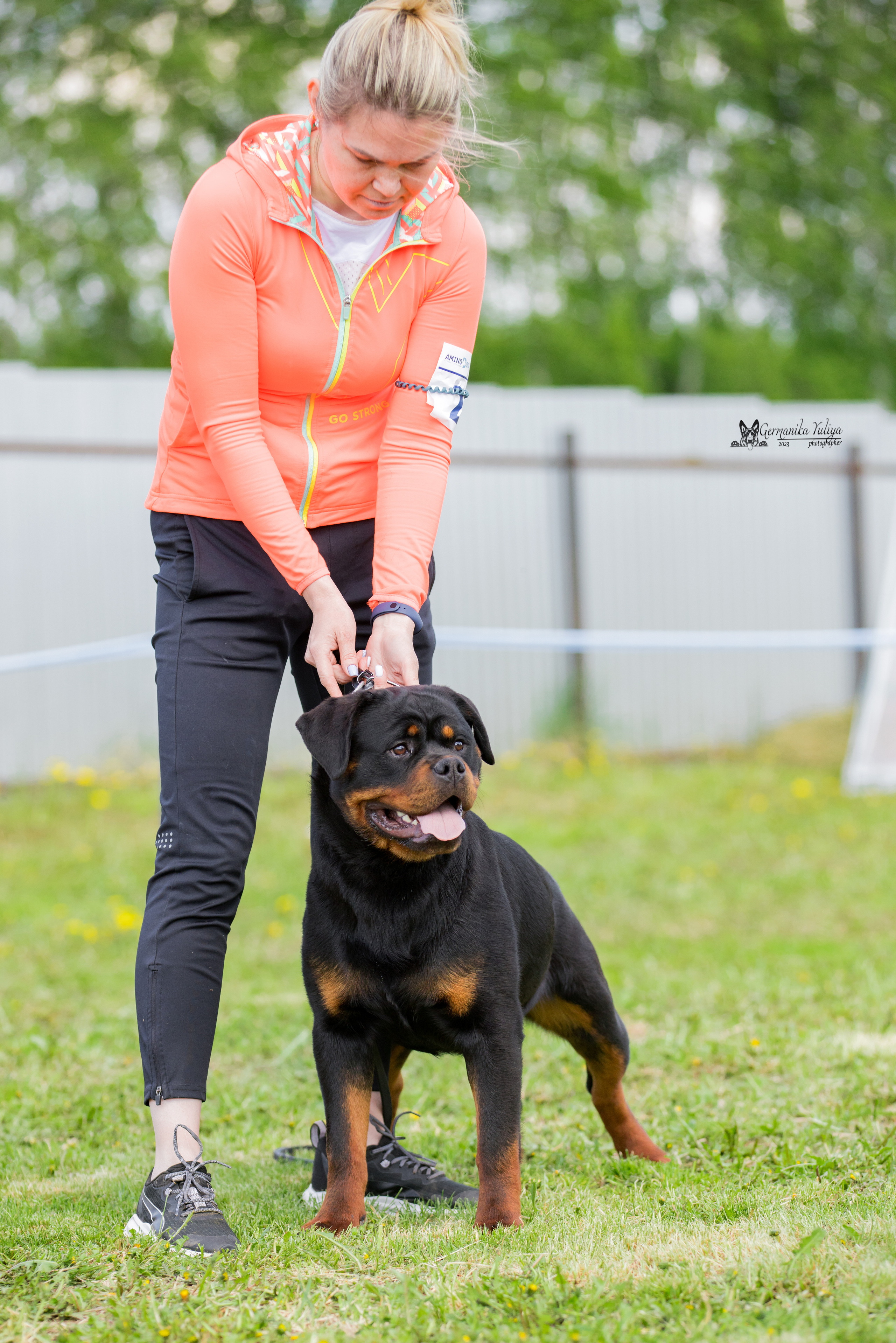 Нижний Новгород моно ротвейлеров 13.05.2023. Фотограф-анималист Юлия Германика
