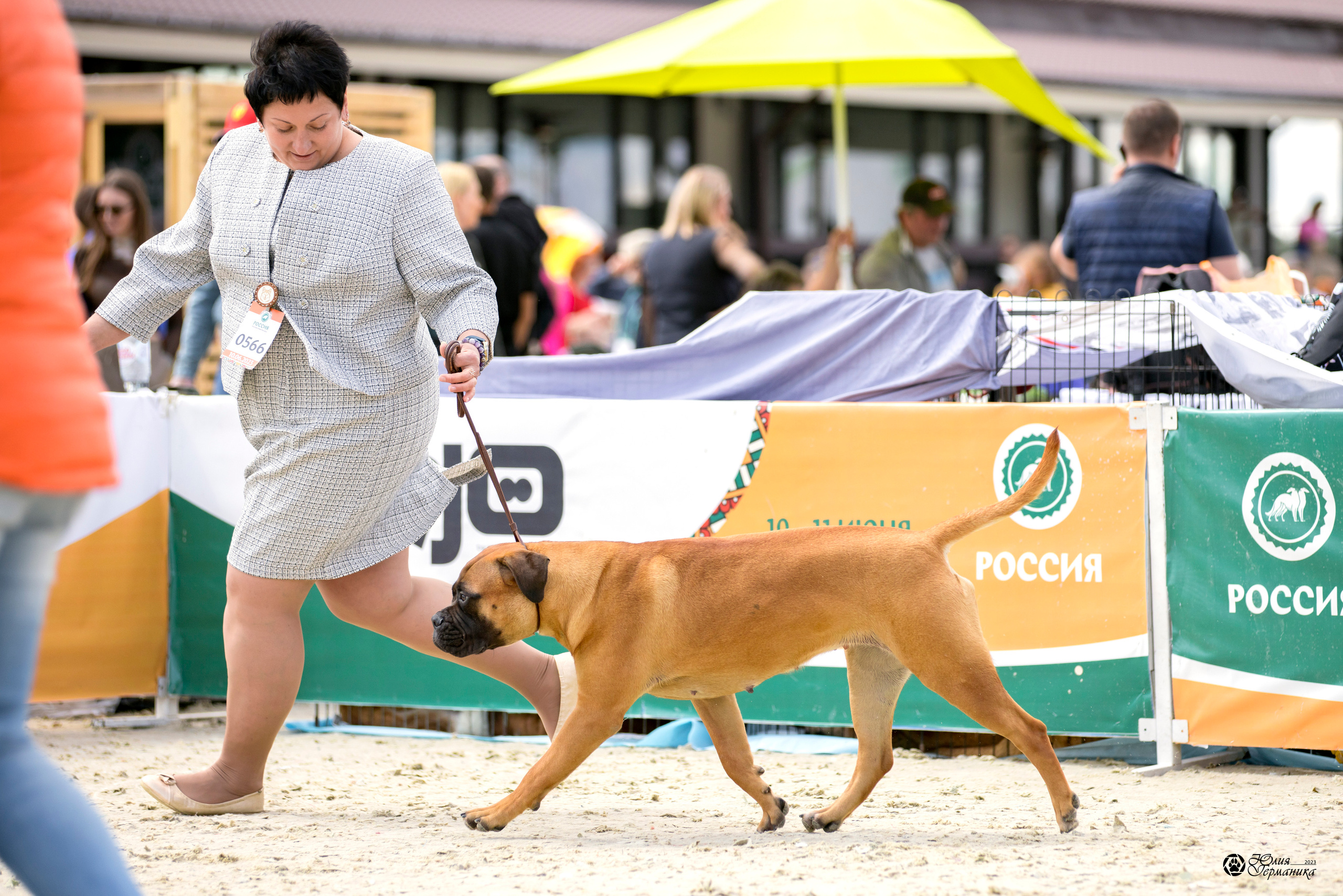 Россия 10-11.06.2023. Фотограф-анималист Юлия Германика