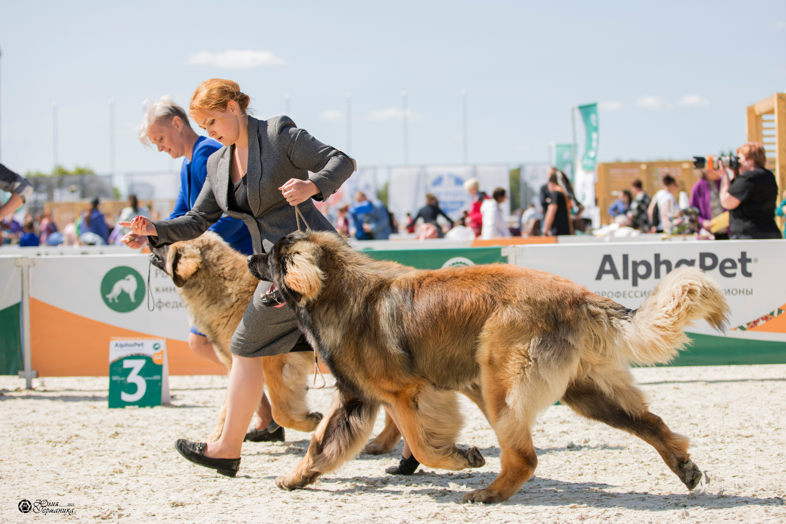 Россия 10-11.06.2023. Фотограф-анималист Юлия Германика