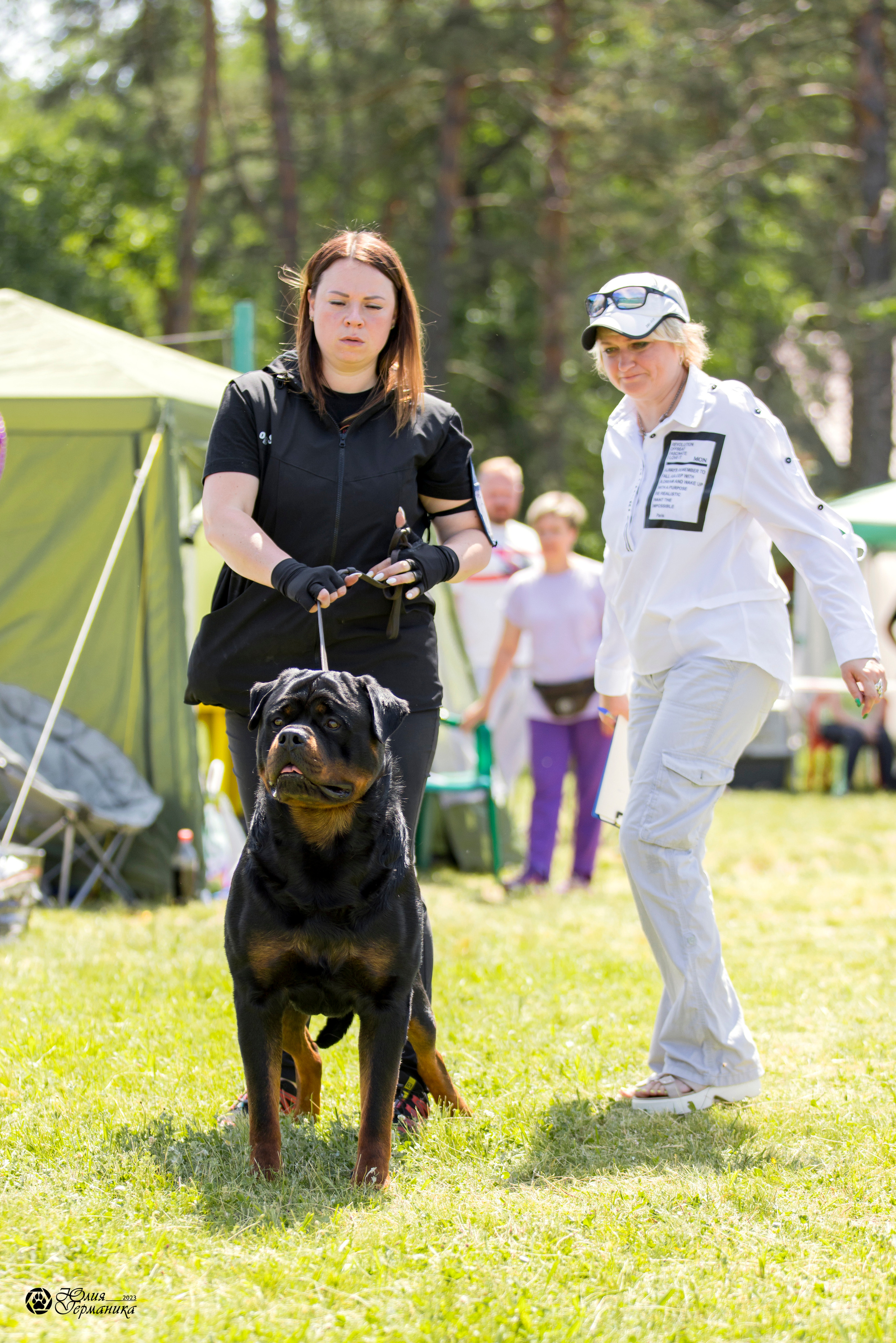 Воронеж 2хмоно ротвейлеров 3-4.06.2023. Фотограф-анималист Юлия Германика