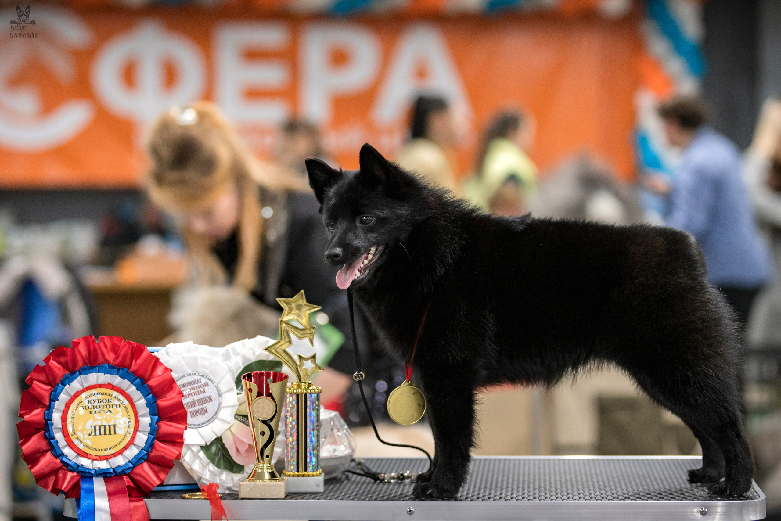 Сфера 25-26.03.2023. Фотограф-анималист Юлия Германика