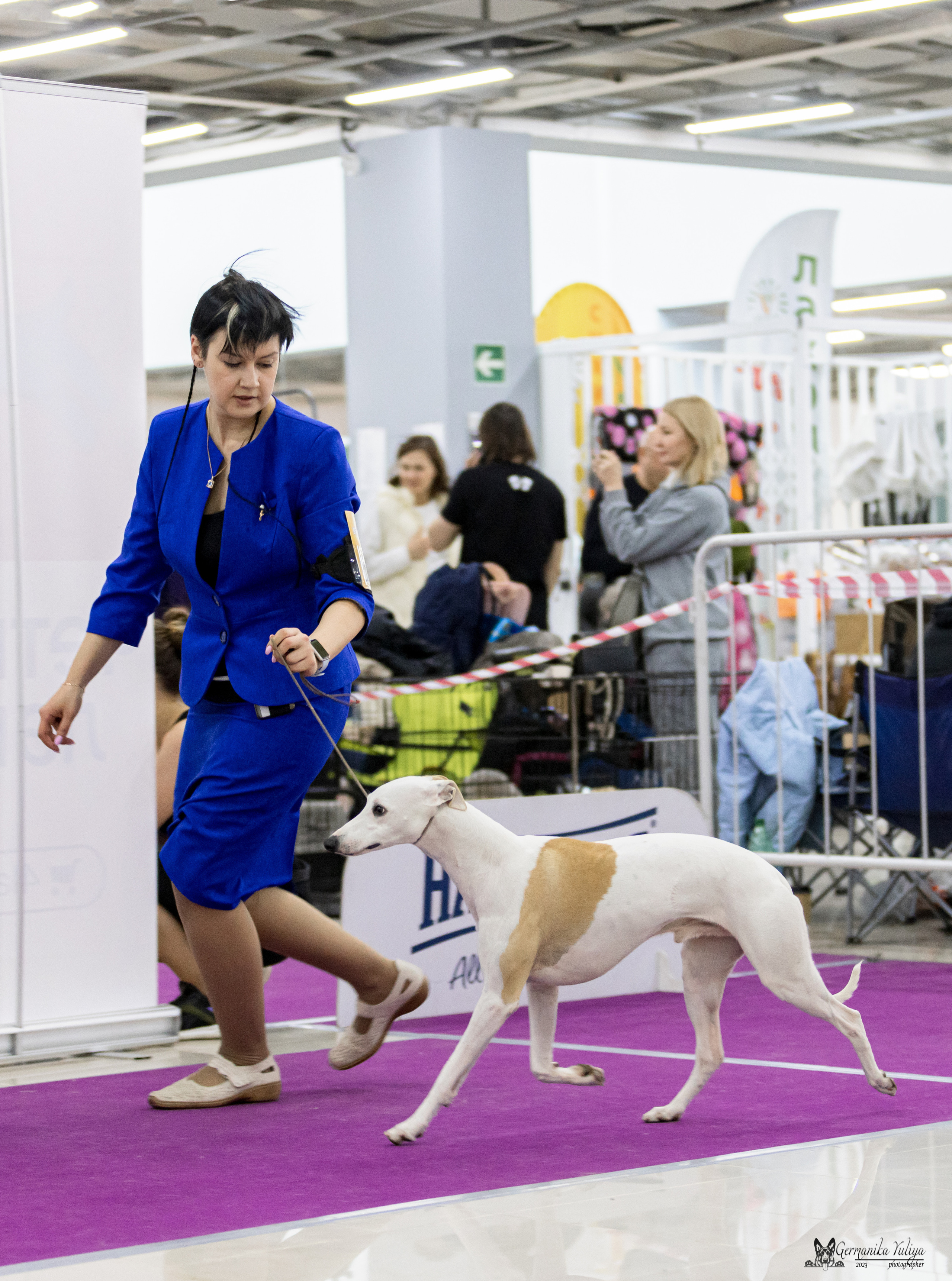 Сфера+МД 8-9.04.2023. Фотограф-анималист Юлия Германика