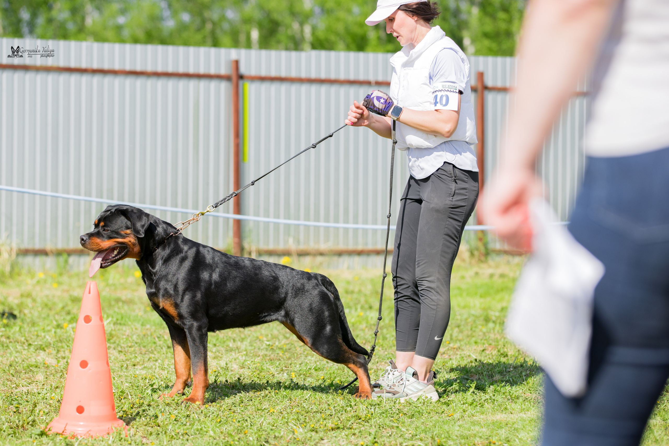 Нижний Новгород моно ротвейлеров 13.05.2023. Фотограф-анималист Юлия Германика