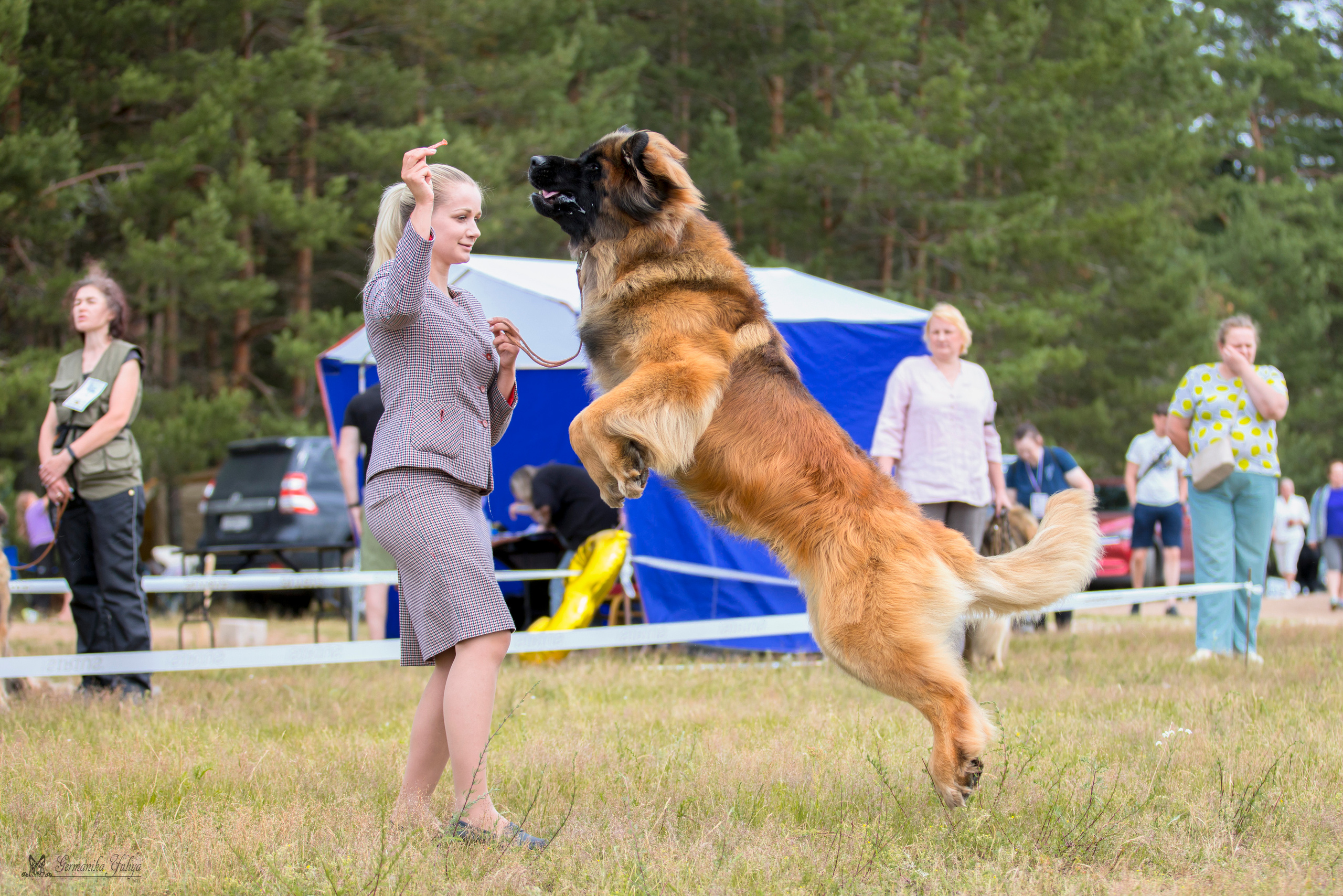 Волжанка 8.07.2023. Фотограф-анималист Юлия Германика