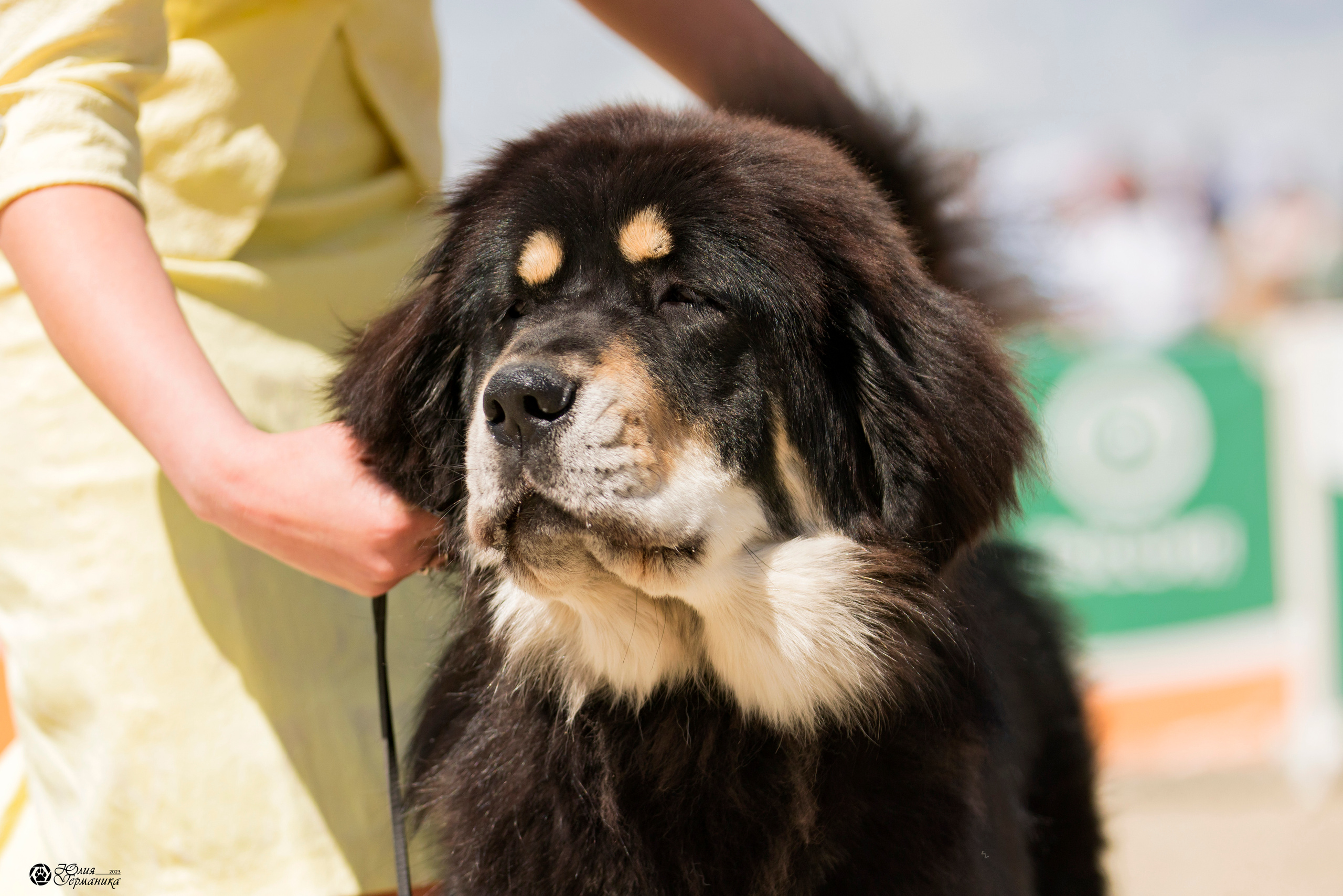 Россия 10-11.06.2023. Фотограф-анималист Юлия Германика