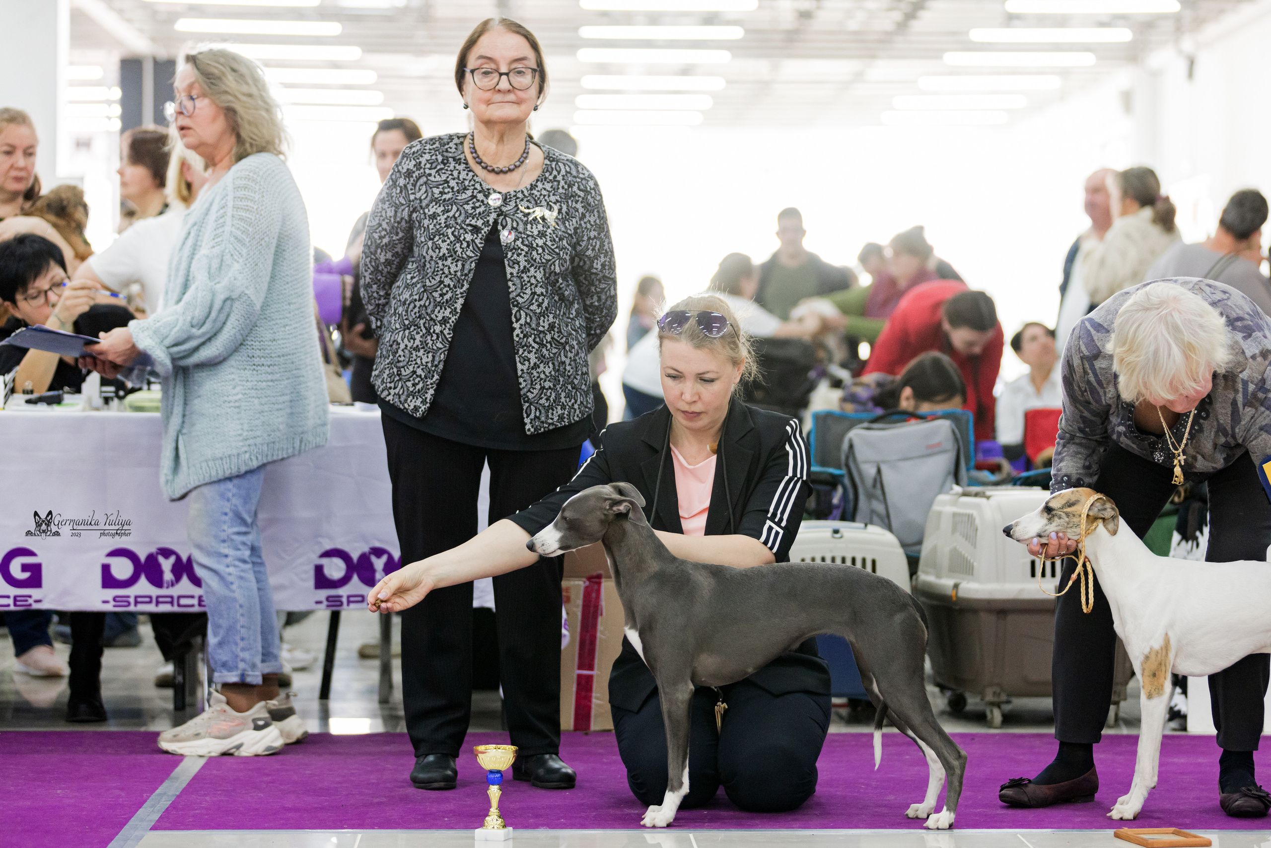 Сфера+МД 8-9.04.2023. Фотограф-анималист Юлия Германика