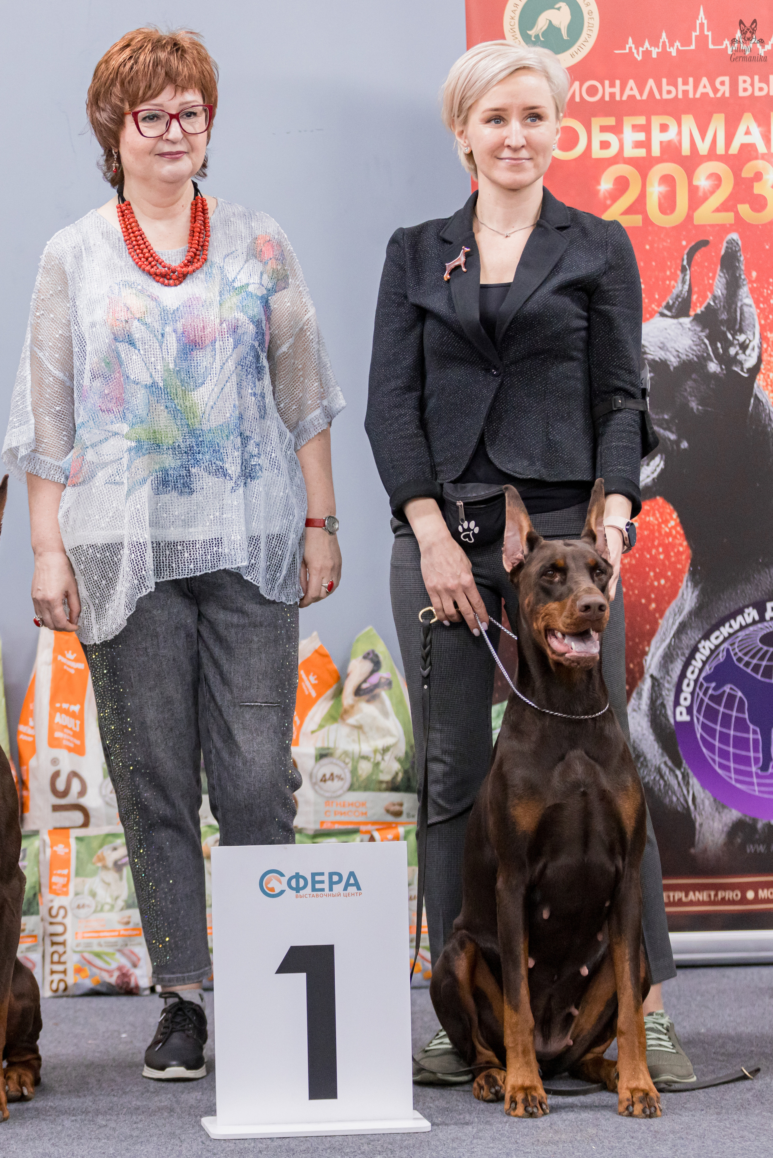 Сфера+доберманы 02.04.2023. Фотограф-анималист Юлия Германика