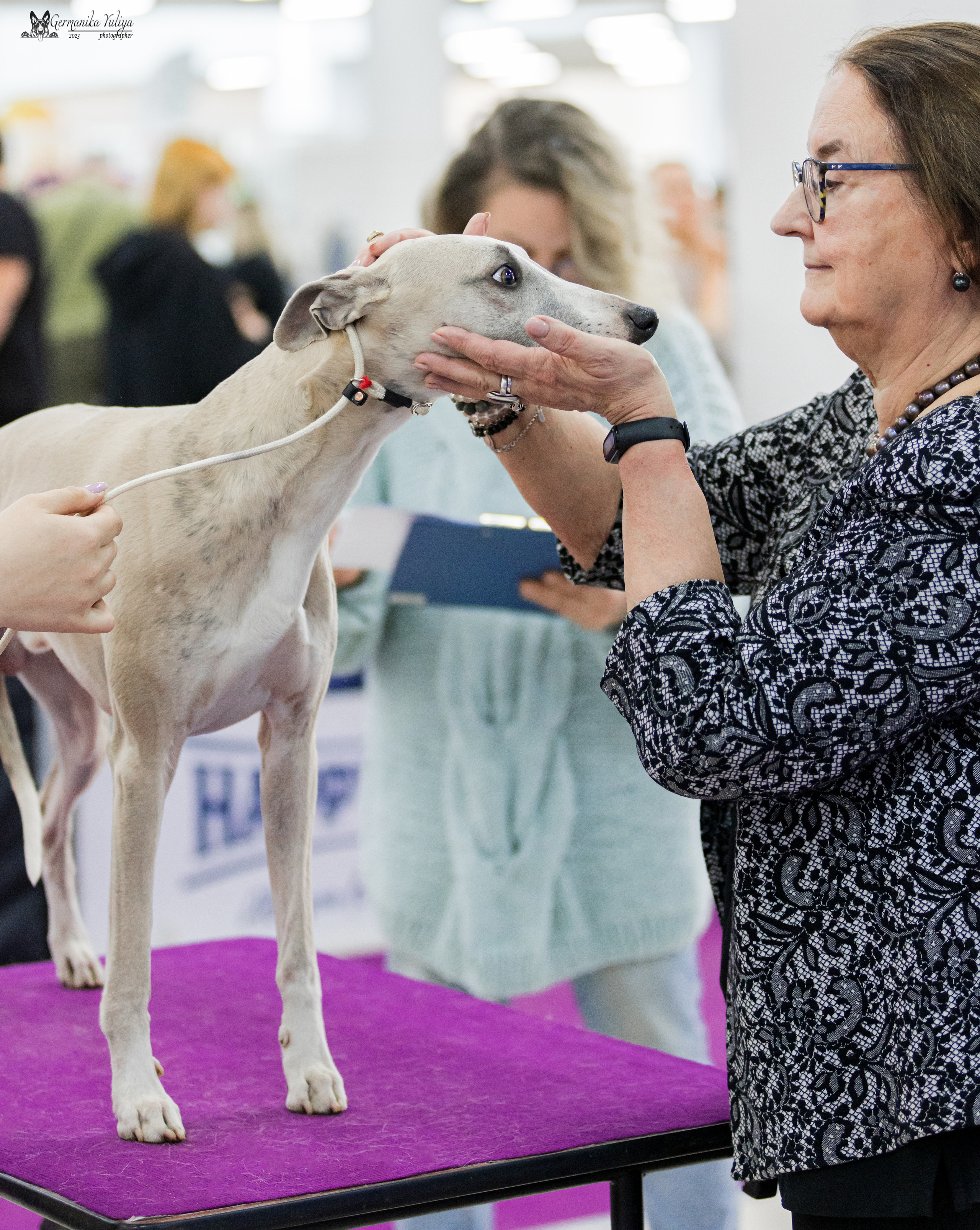 Сфера+МД 8-9.04.2023. Фотограф-анималист Юлия Германика