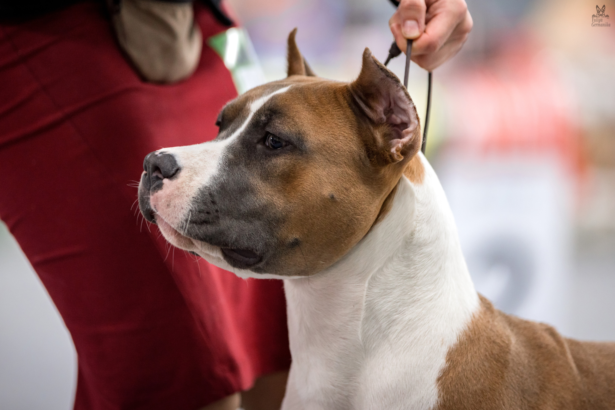 Сфера 25-26.03.2023. Фотограф-анималист Юлия Германика