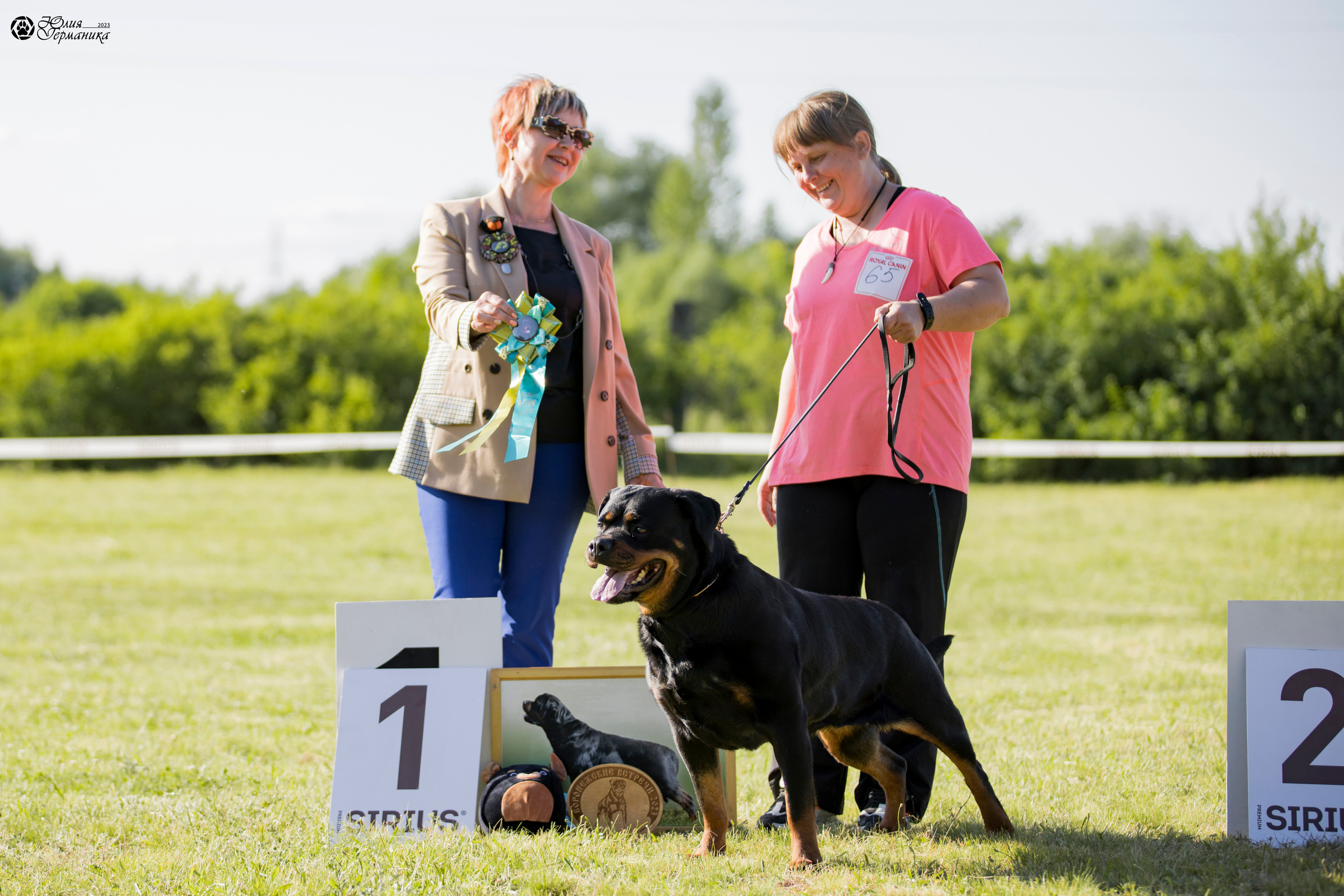 Воронеж 2хмоно ротвейлеров 3-4.06.2023. Фотограф-анималист Юлия Германика