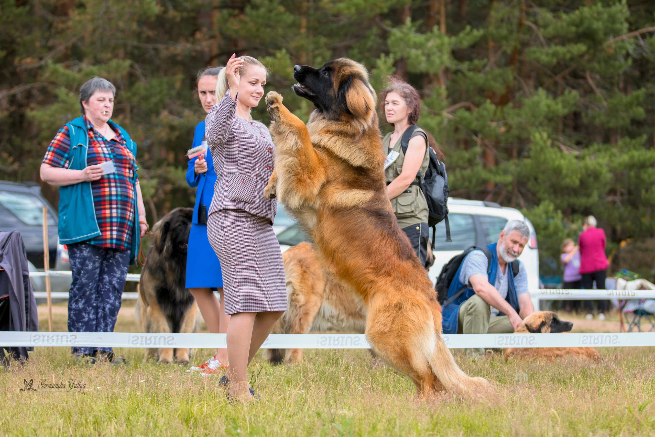 Волжанка 8.07.2023. Фотограф-анималист Юлия Германика
