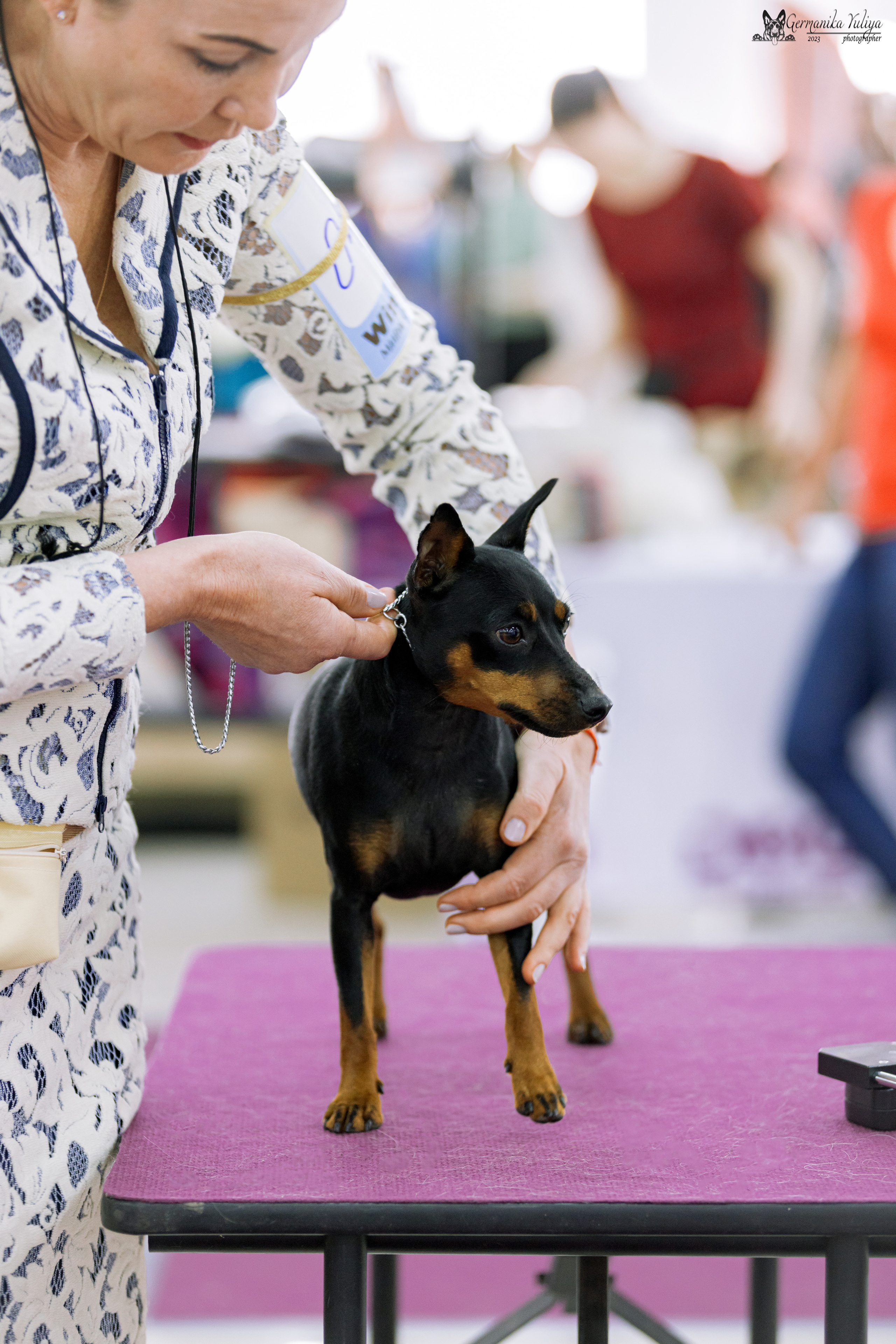МД 15.04.2023. Фотограф-анималист Юлия Германика
