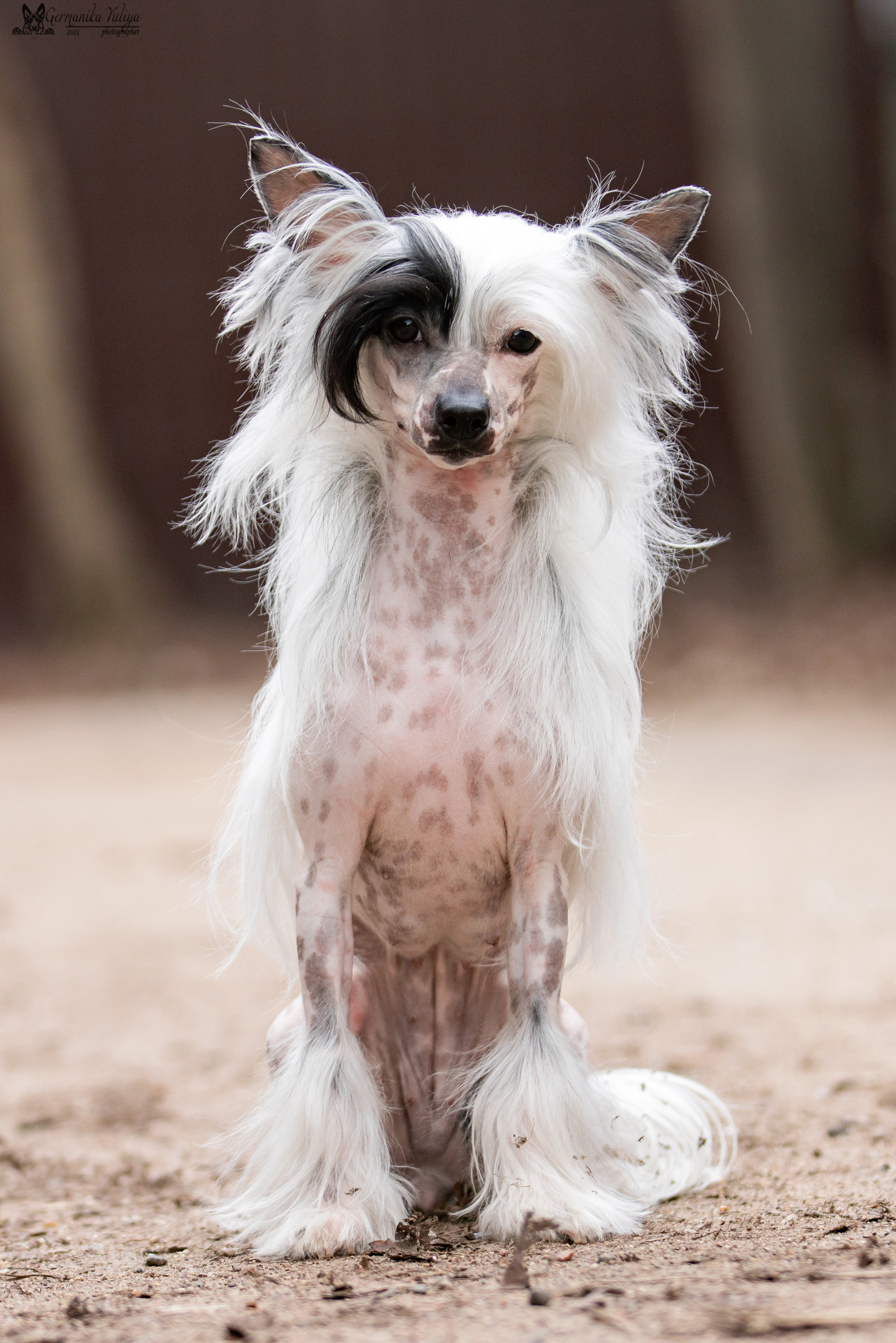 Сфера+МД 8-9.04.2023. Фотограф-анималист Юлия Германика