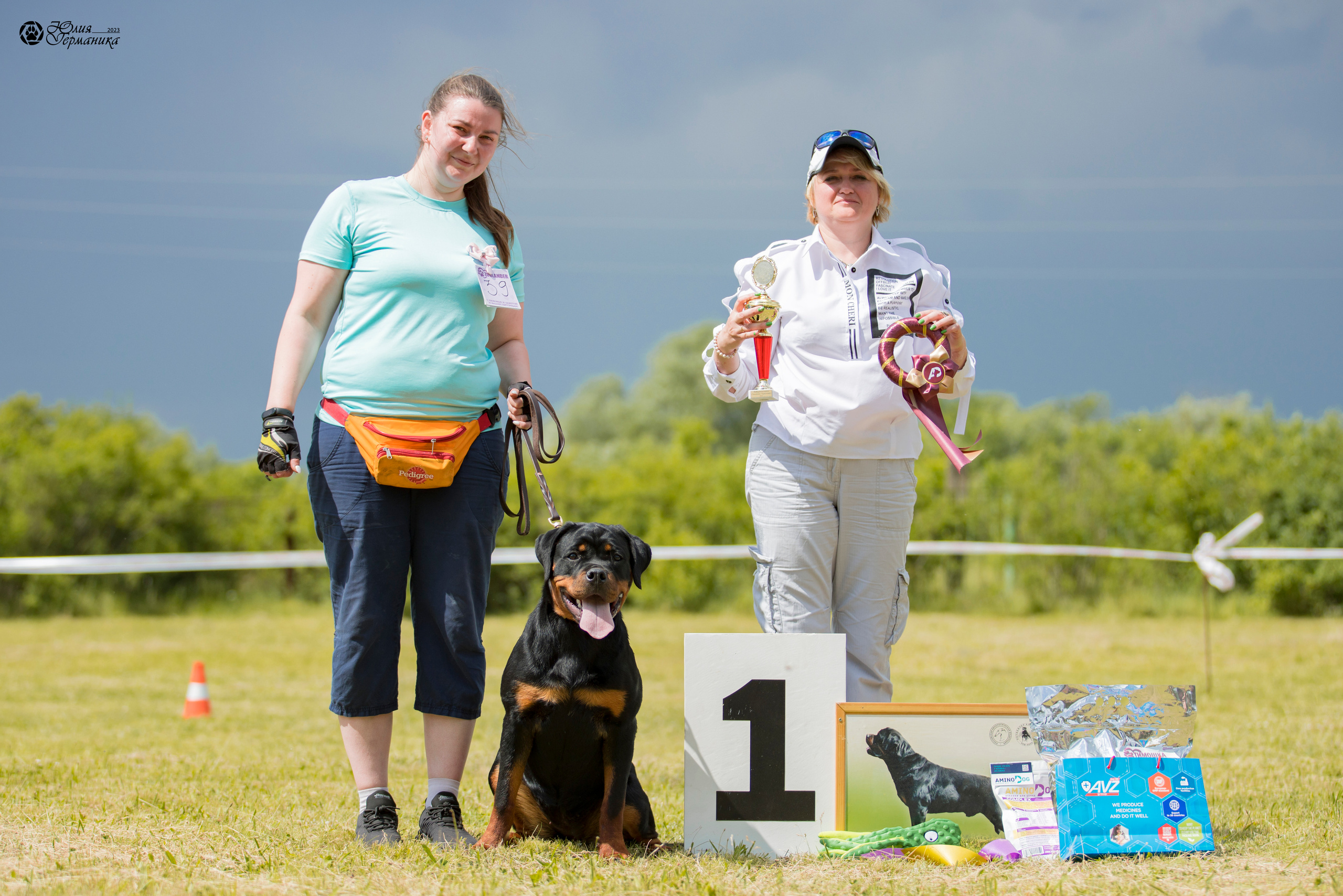 Воронеж 2хмоно ротвейлеров 3-4.06.2023. Фотограф-анималист Юлия Германика