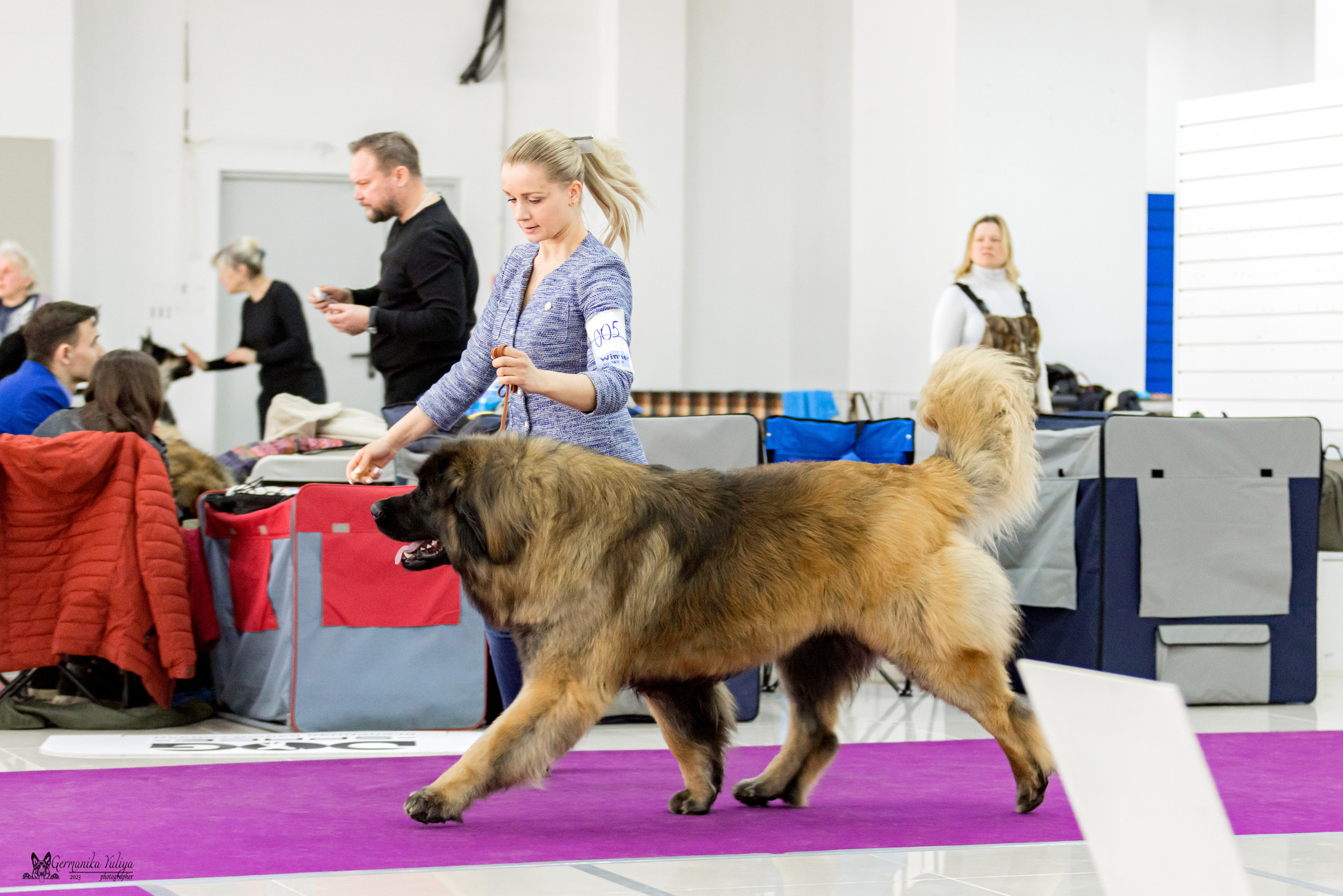 МД 15.04.2023. Фотограф-анималист Юлия Германика