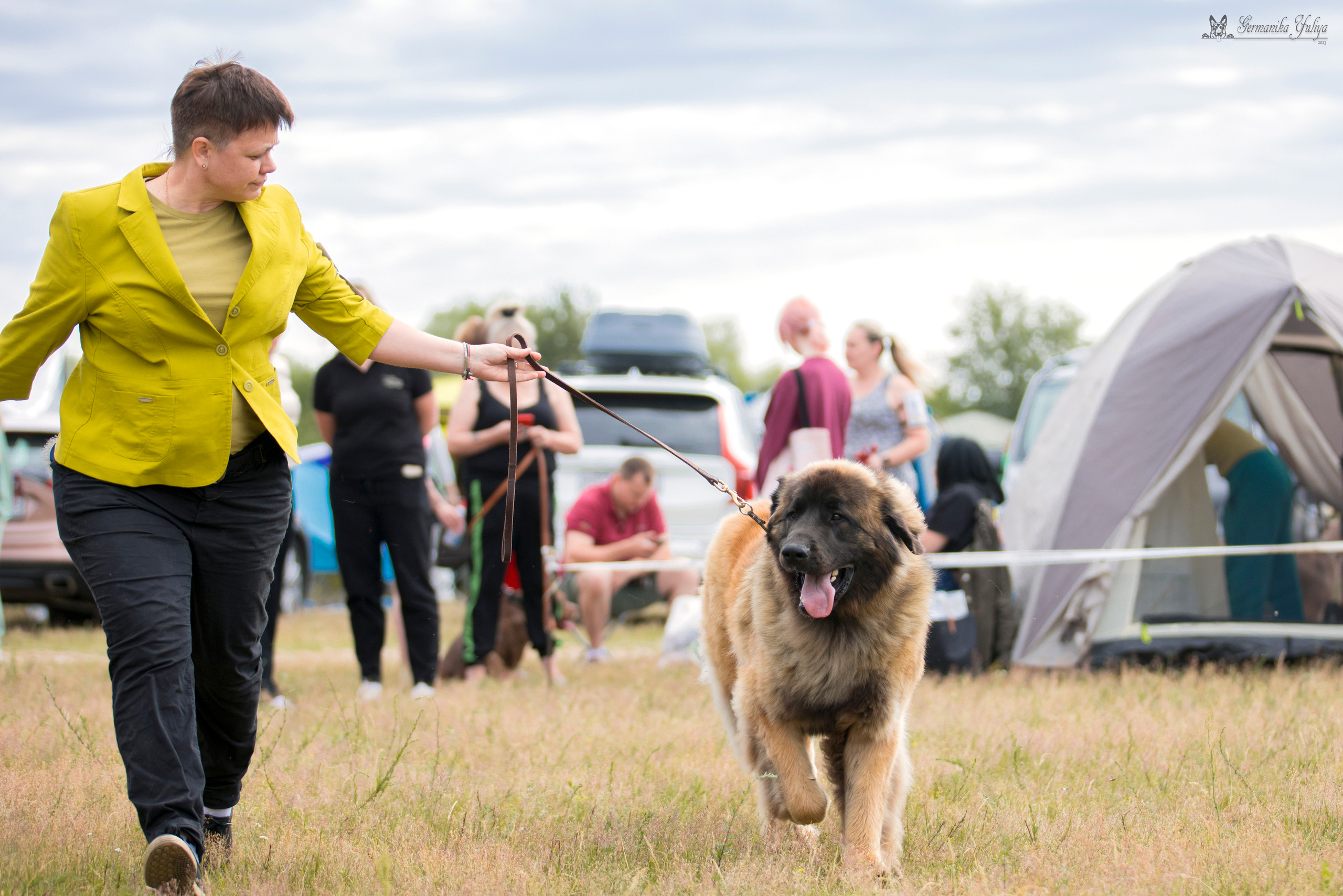 Волжанка 8.07.2023. Фотограф-анималист Юлия Германика