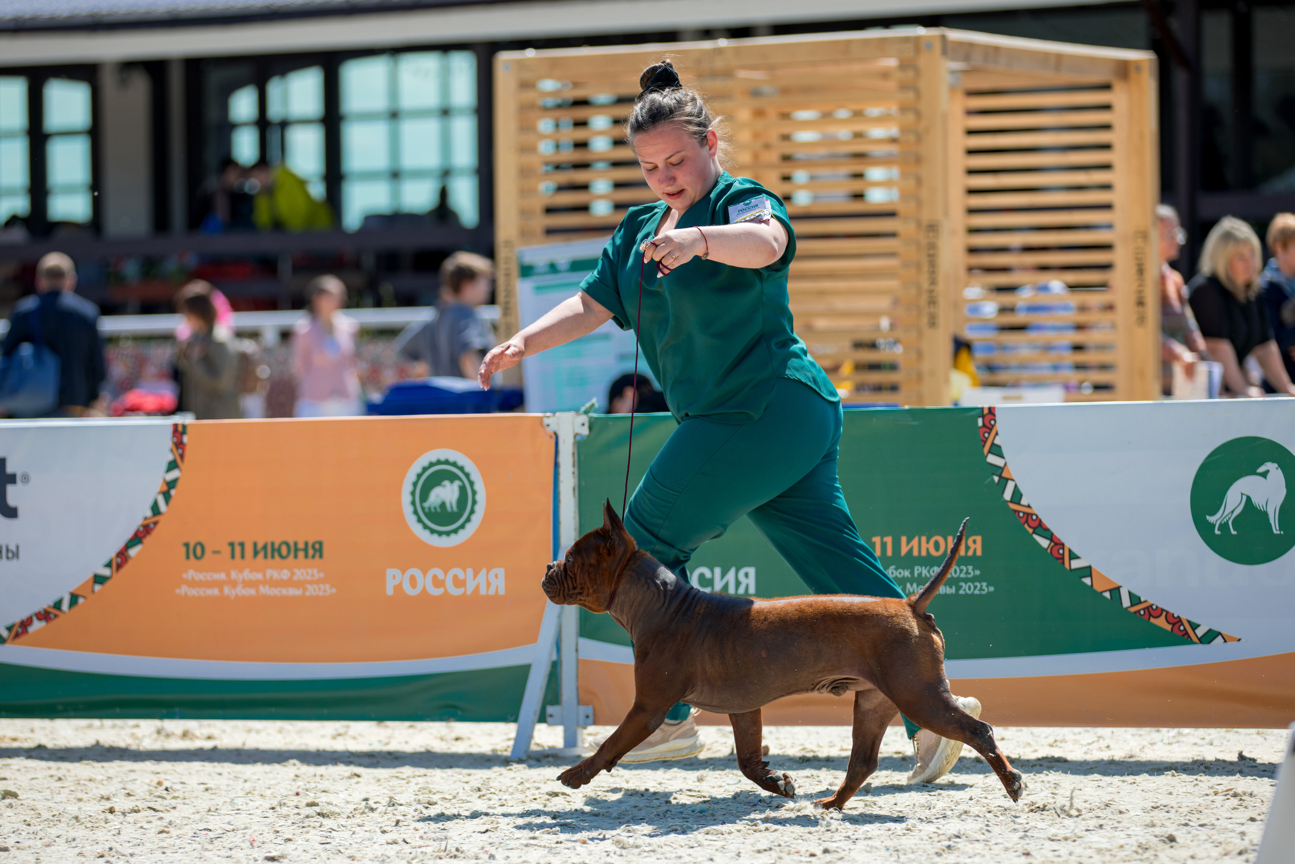 Россия 10-11.06.2023. Фотограф-анималист Юлия Германика