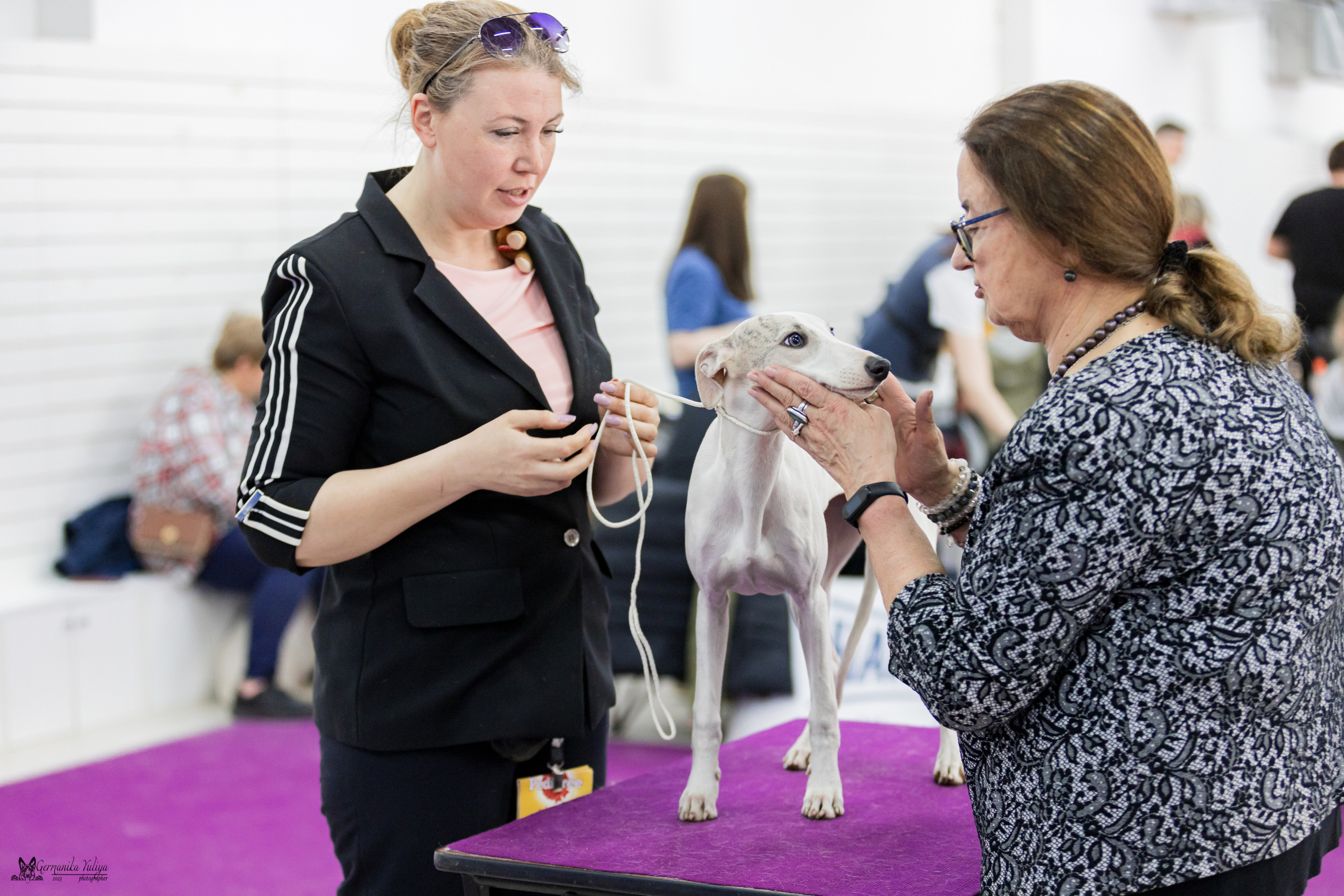 Сфера+МД 8-9.04.2023. Фотограф-анималист Юлия Германика