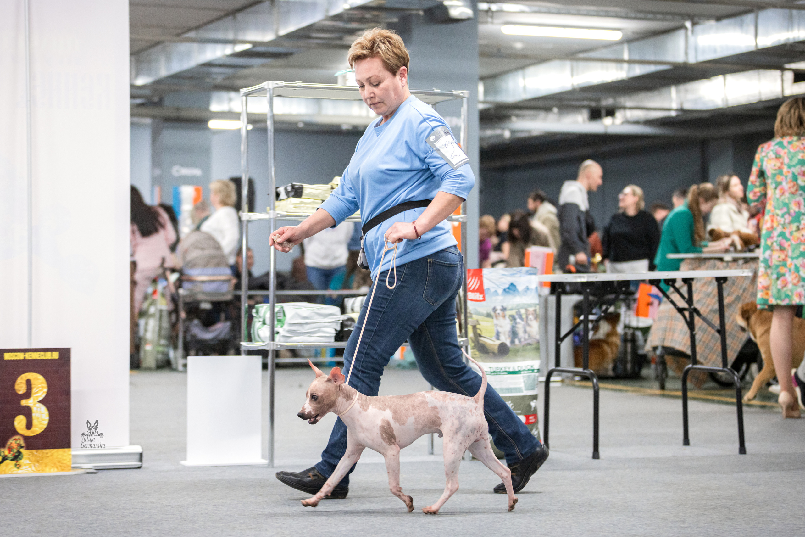 Сфера+доберманы 02.04.2023. Фотограф-анималист Юлия Германика