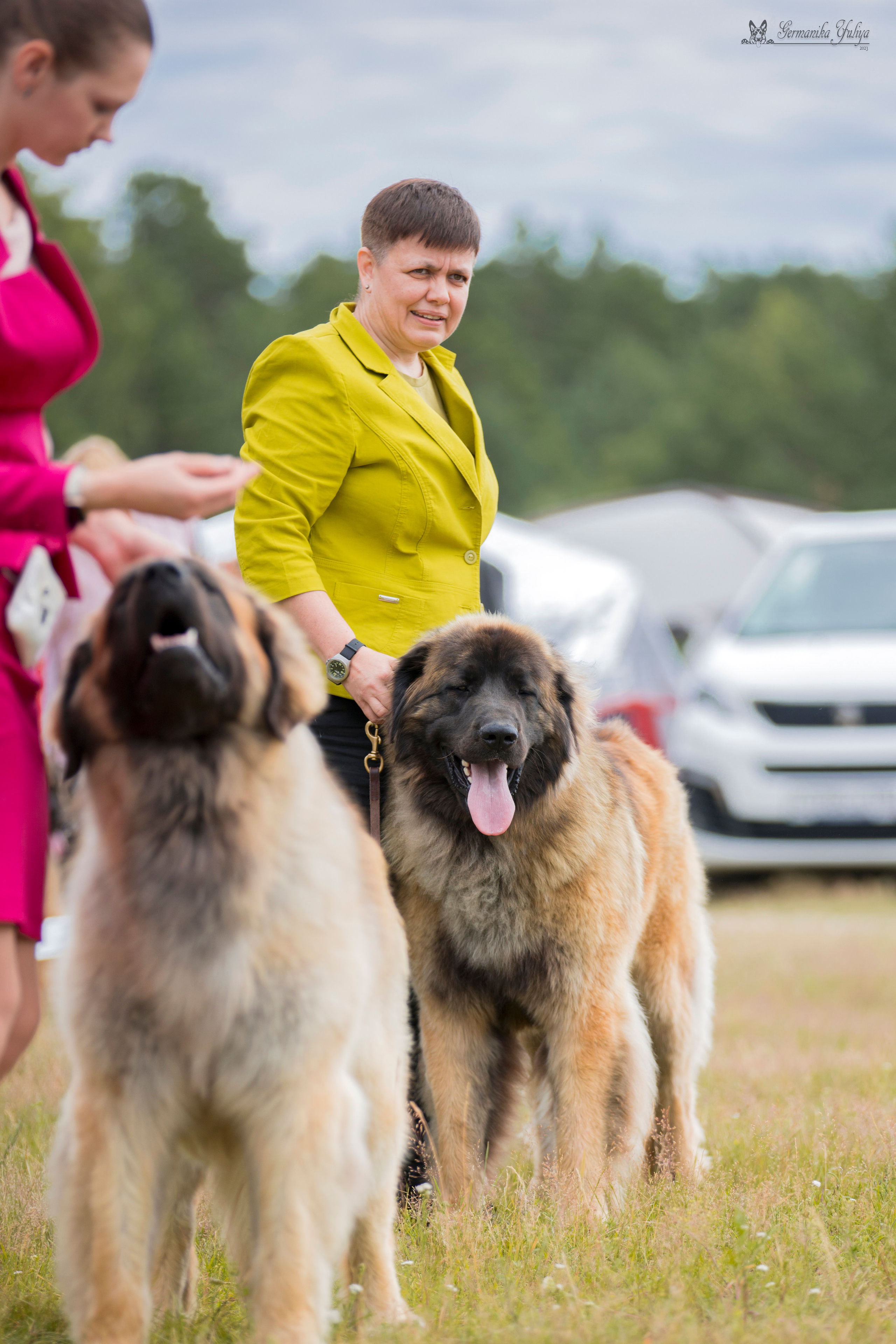 Волжанка 8.07.2023. Фотограф-анималист Юлия Германика