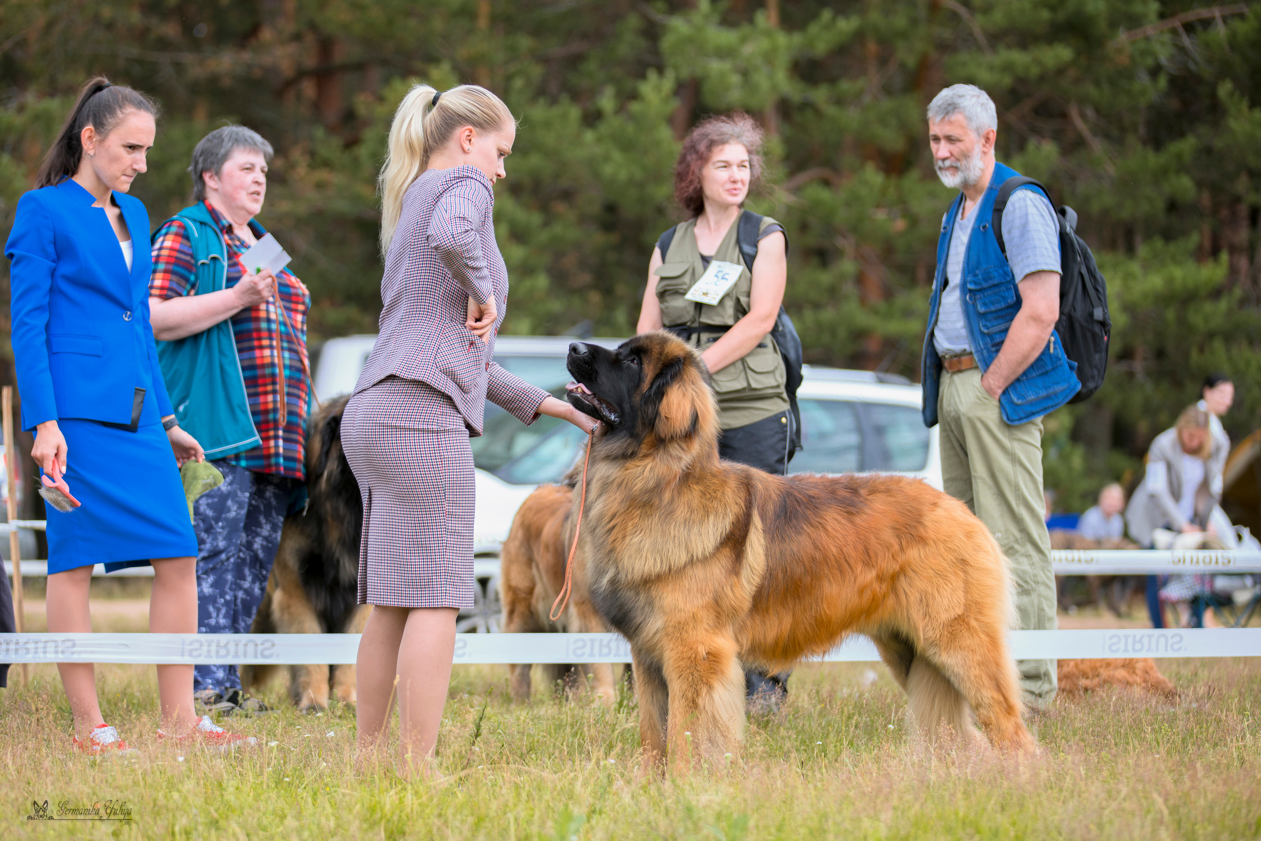 Волжанка 8.07.2023. Фотограф-анималист Юлия Германика