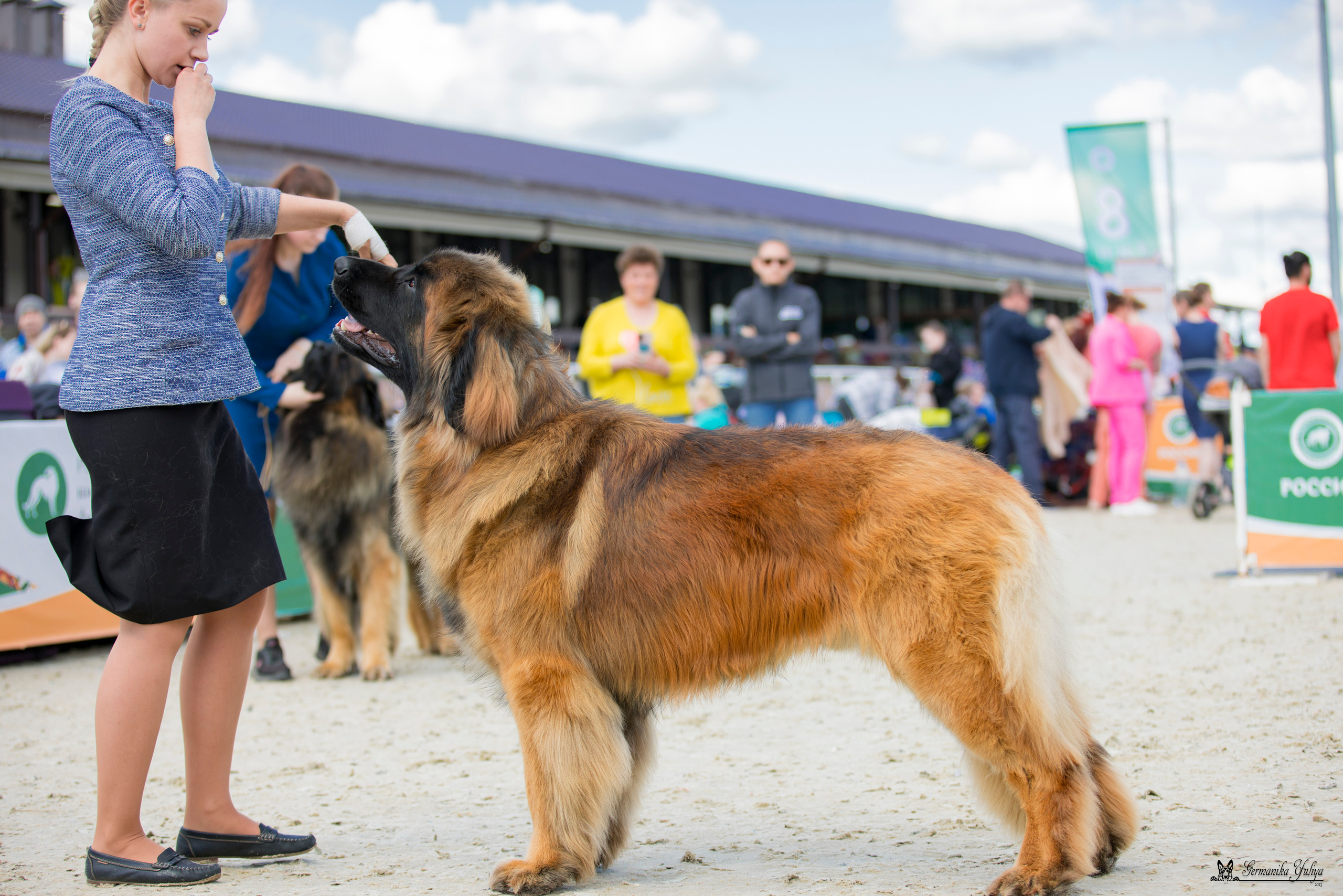 Россия 10-11.06.2023. Фотограф-анималист Юлия Германика
