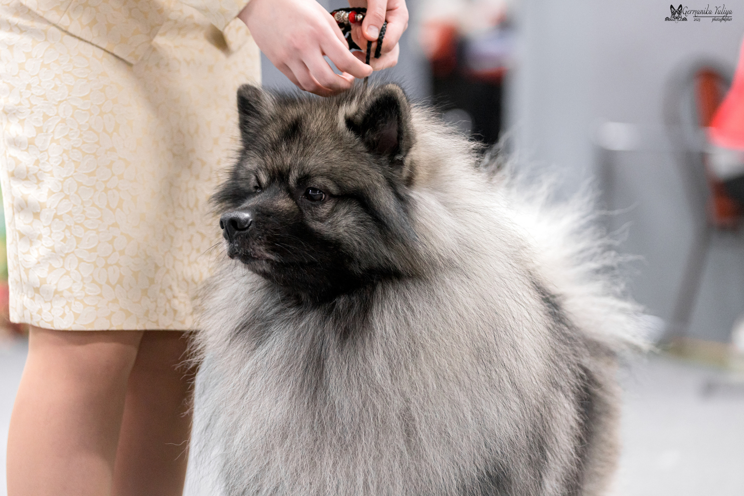 Сфера+МД 8-9.04.2023. Фотограф-анималист Юлия Германика