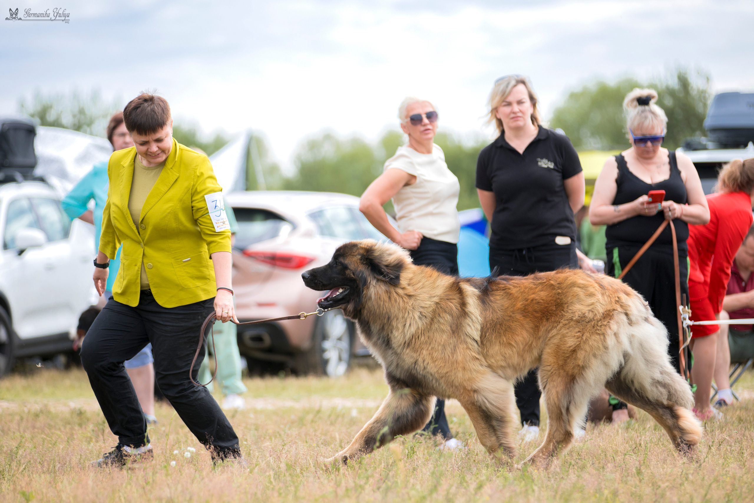 Волжанка 8.07.2023. Фотограф-анималист Юлия Германика