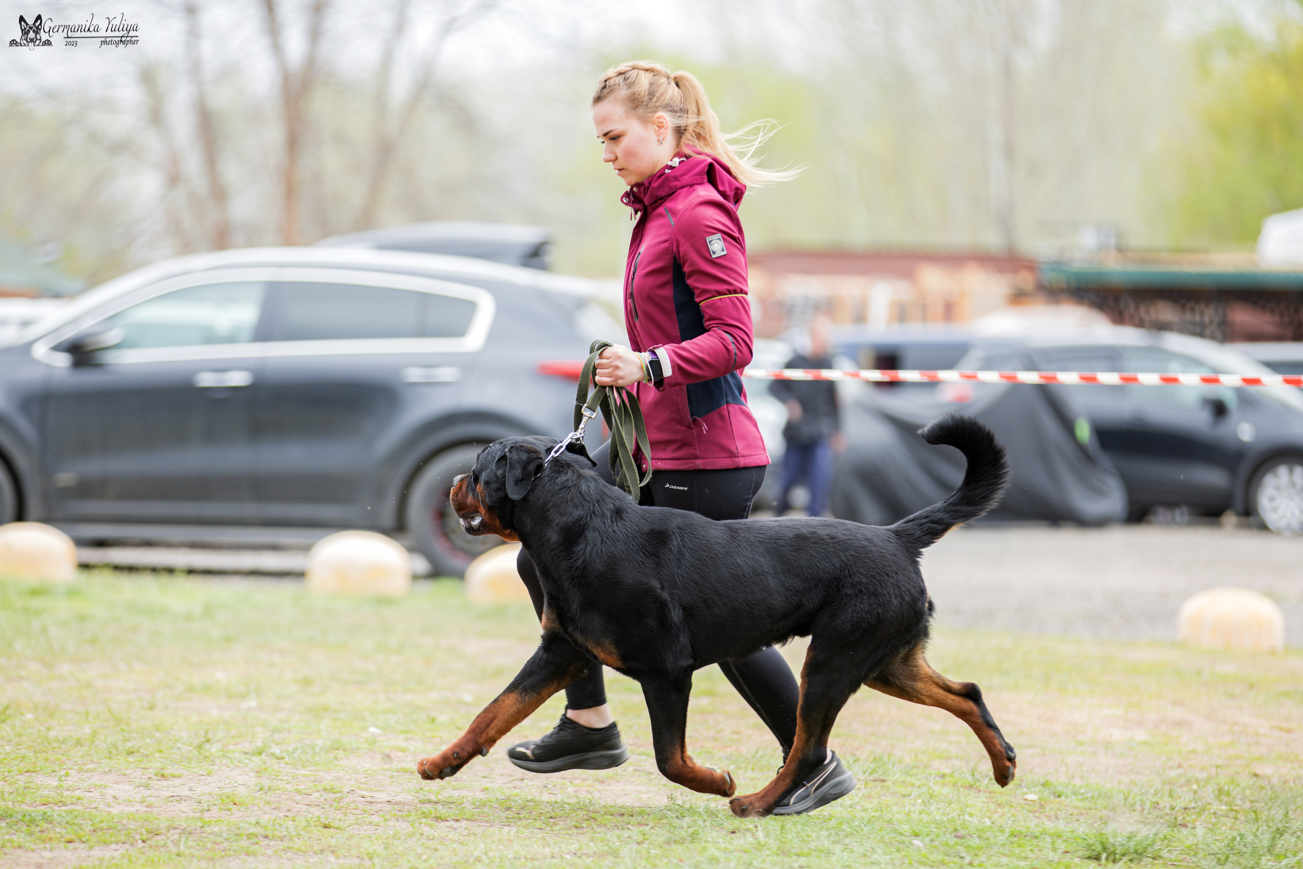 Саратов 2хмоно ротвейлеров 22-23.04.2023. Фотограф-анималист Юлия Германика