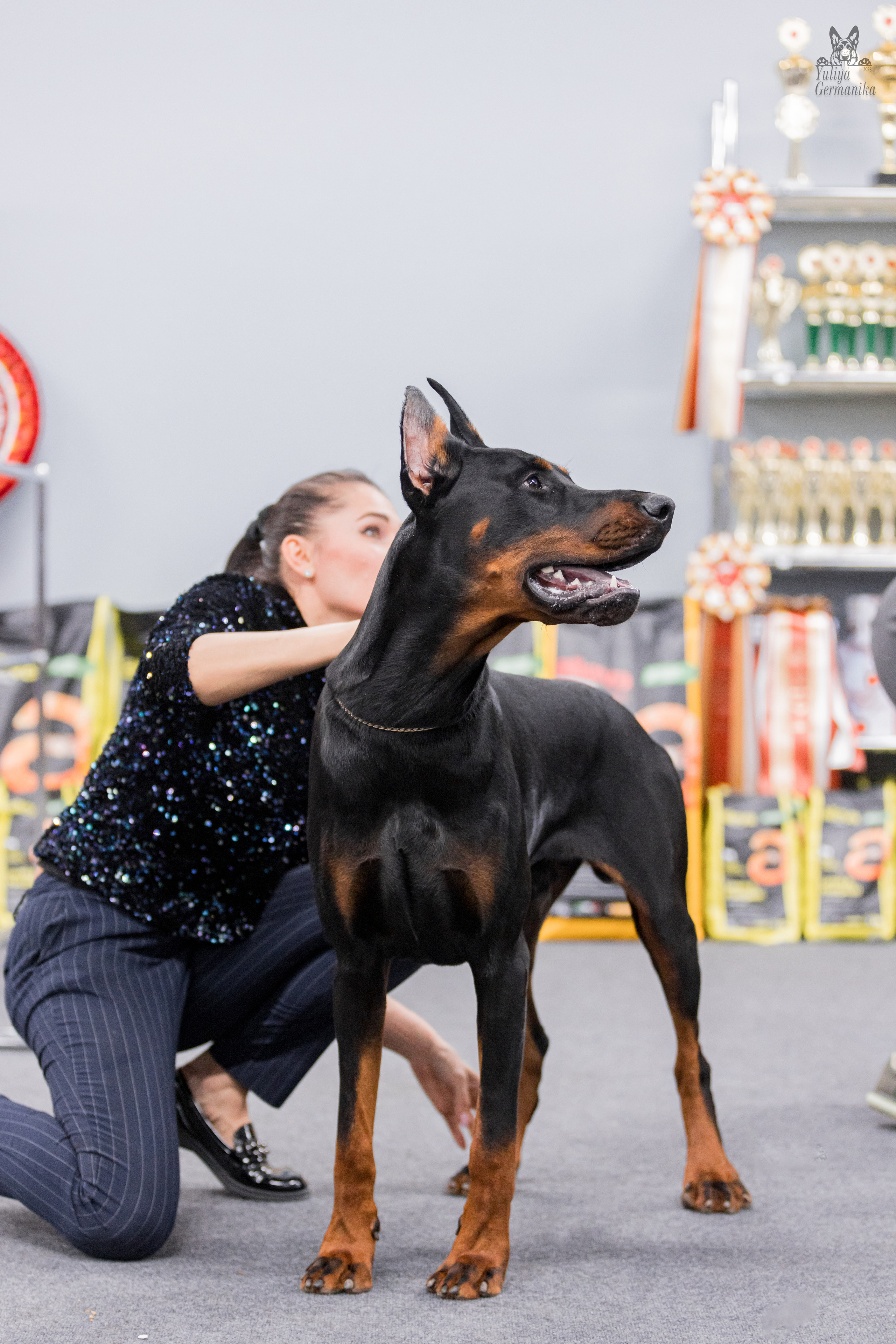 Сфера+доберманы 02.04.2023. Фотограф-анималист Юлия Германика