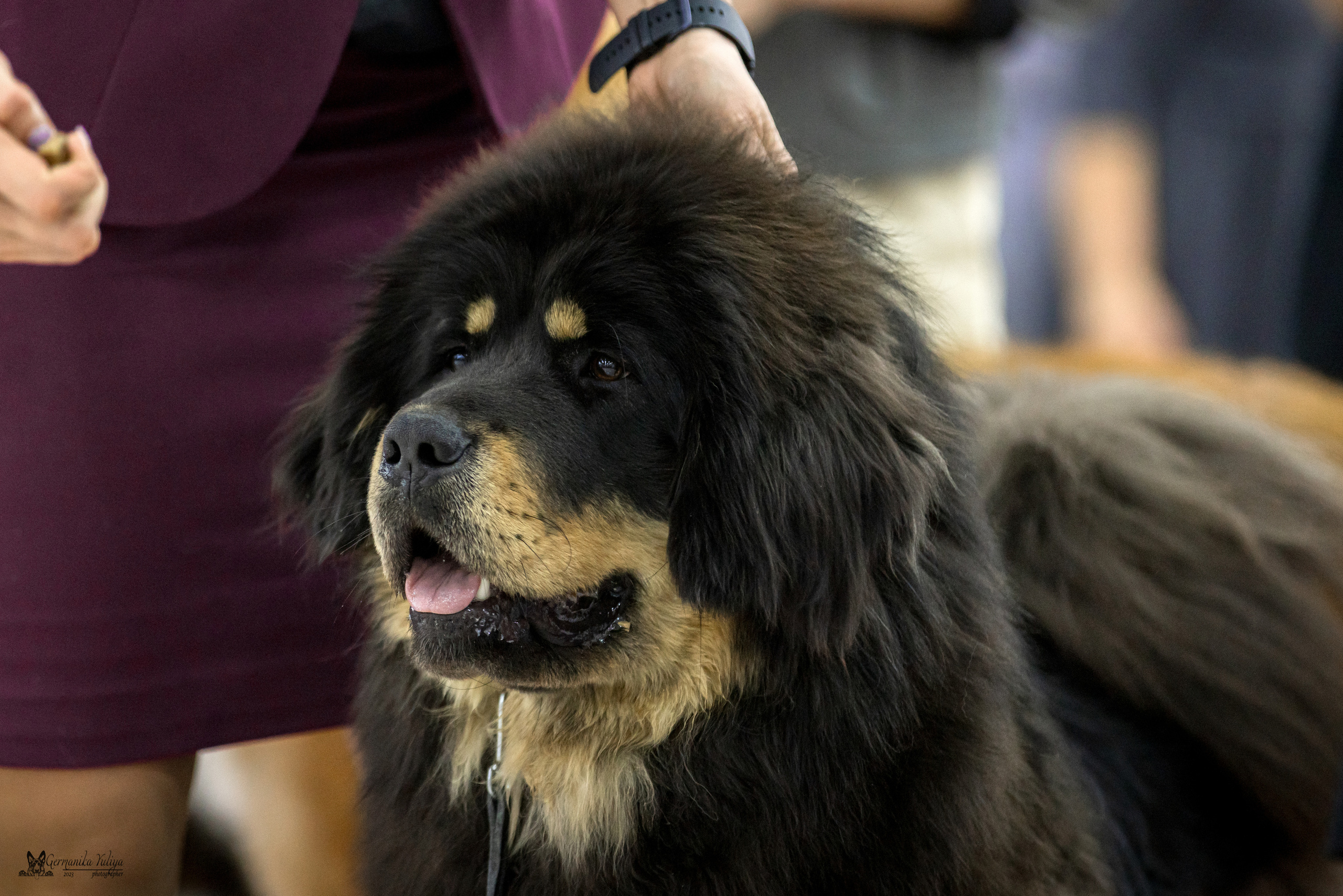 Сфера+МД 8-9.04.2023. Фотограф-анималист Юлия Германика