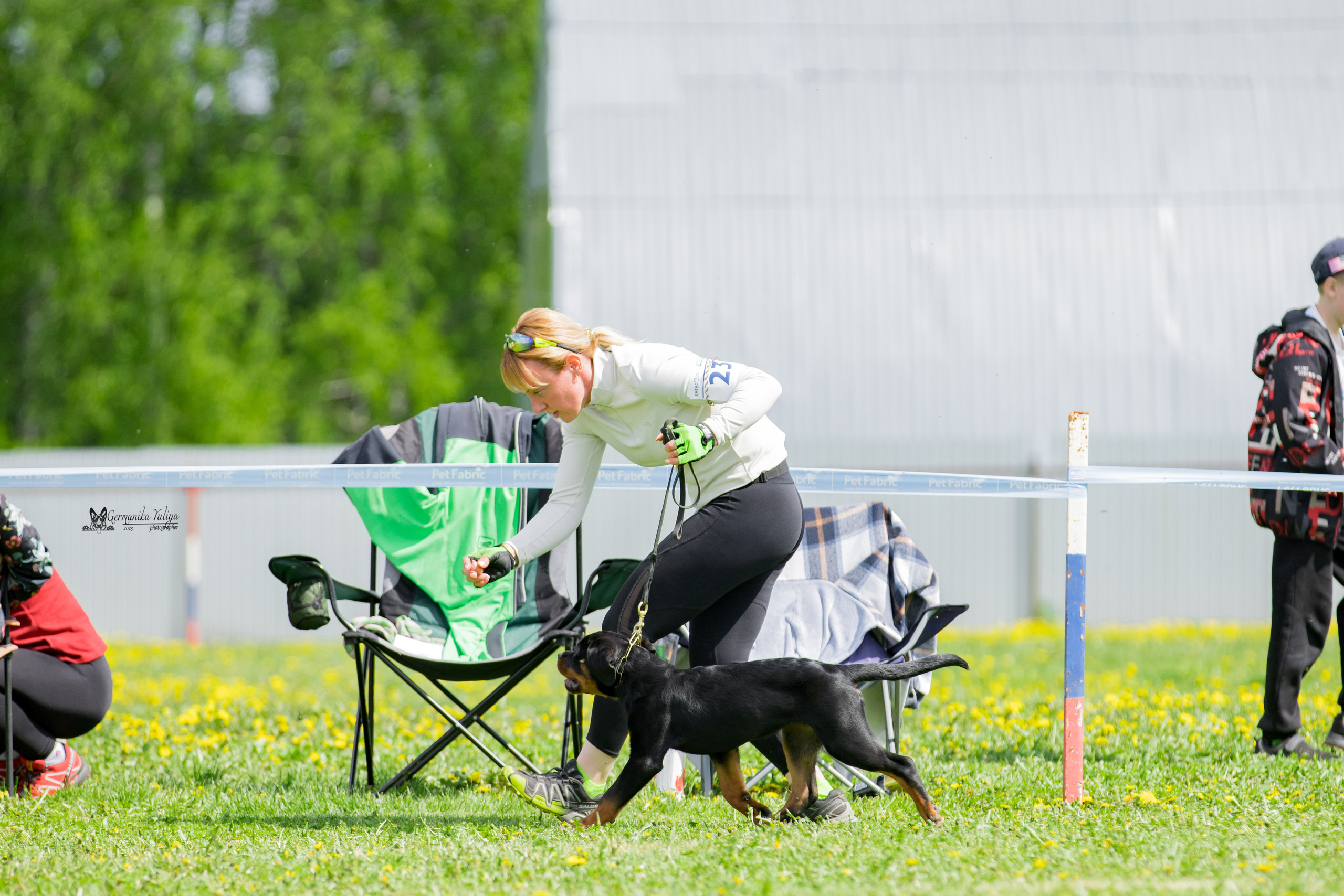 Нижний Новгород моно ротвейлеров 13.05.2023. Фотограф-анималист Юлия Германика
