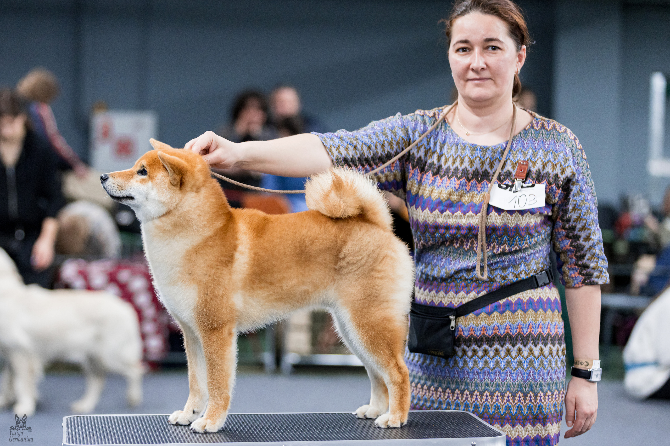 Сфера 25-26.03.2023. Фотограф-анималист Юлия Германика