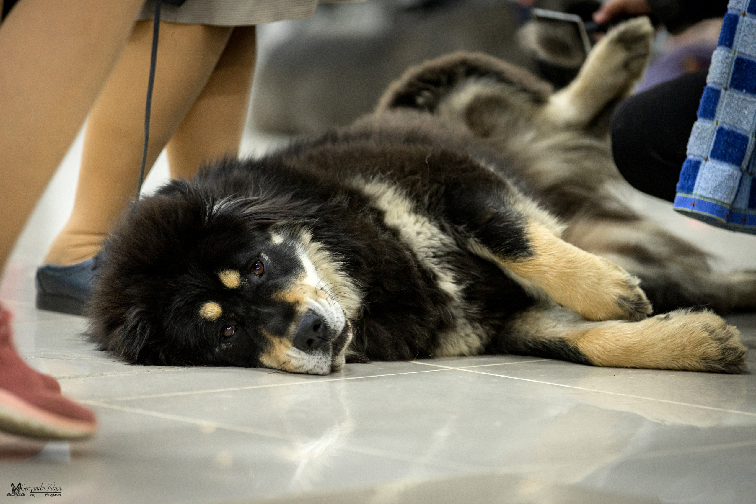 Сфера+МД 8-9.04.2023. Фотограф-анималист Юлия Германика