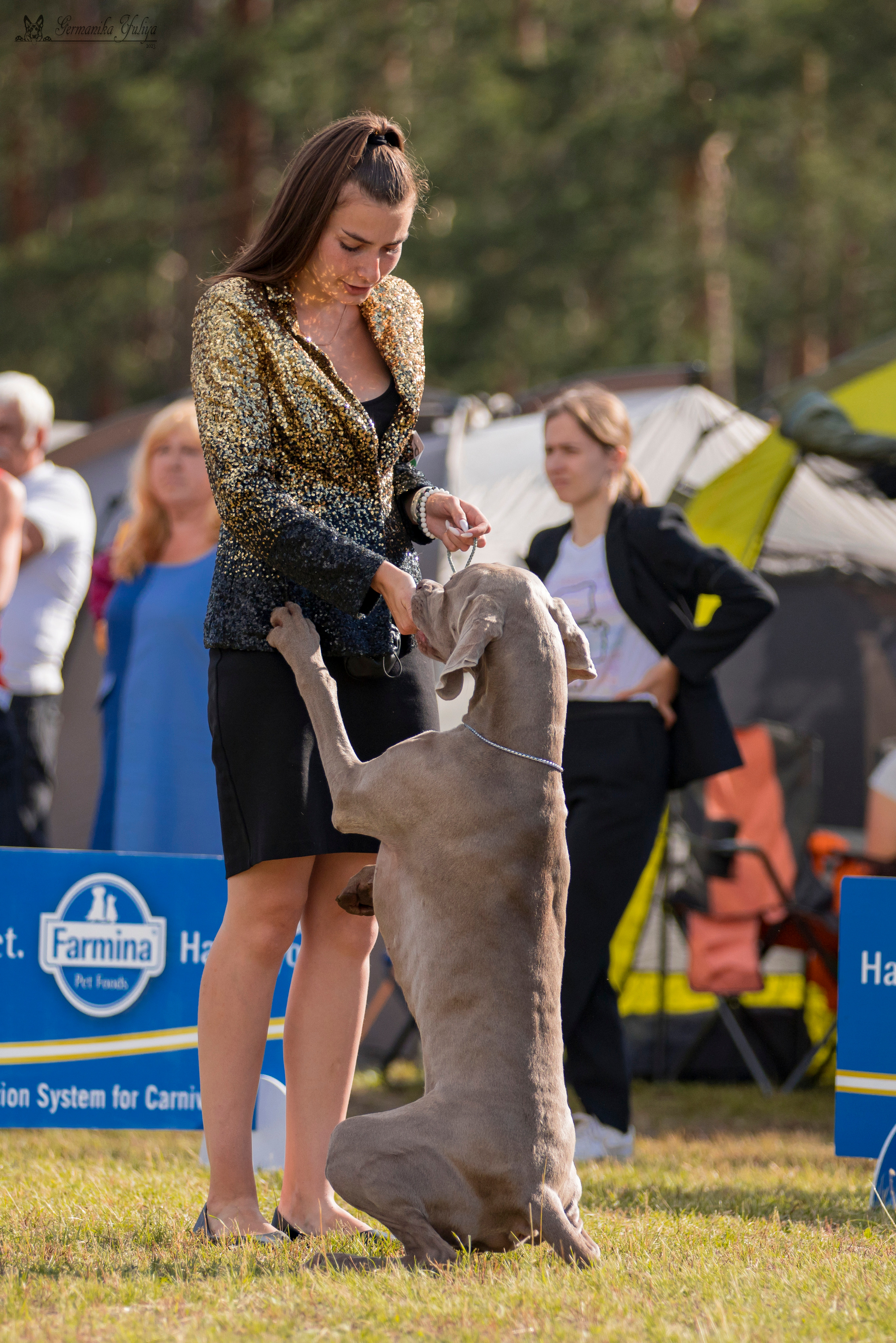 Владимир 1-2.07.2023. Фотограф-анималист Юлия Германика