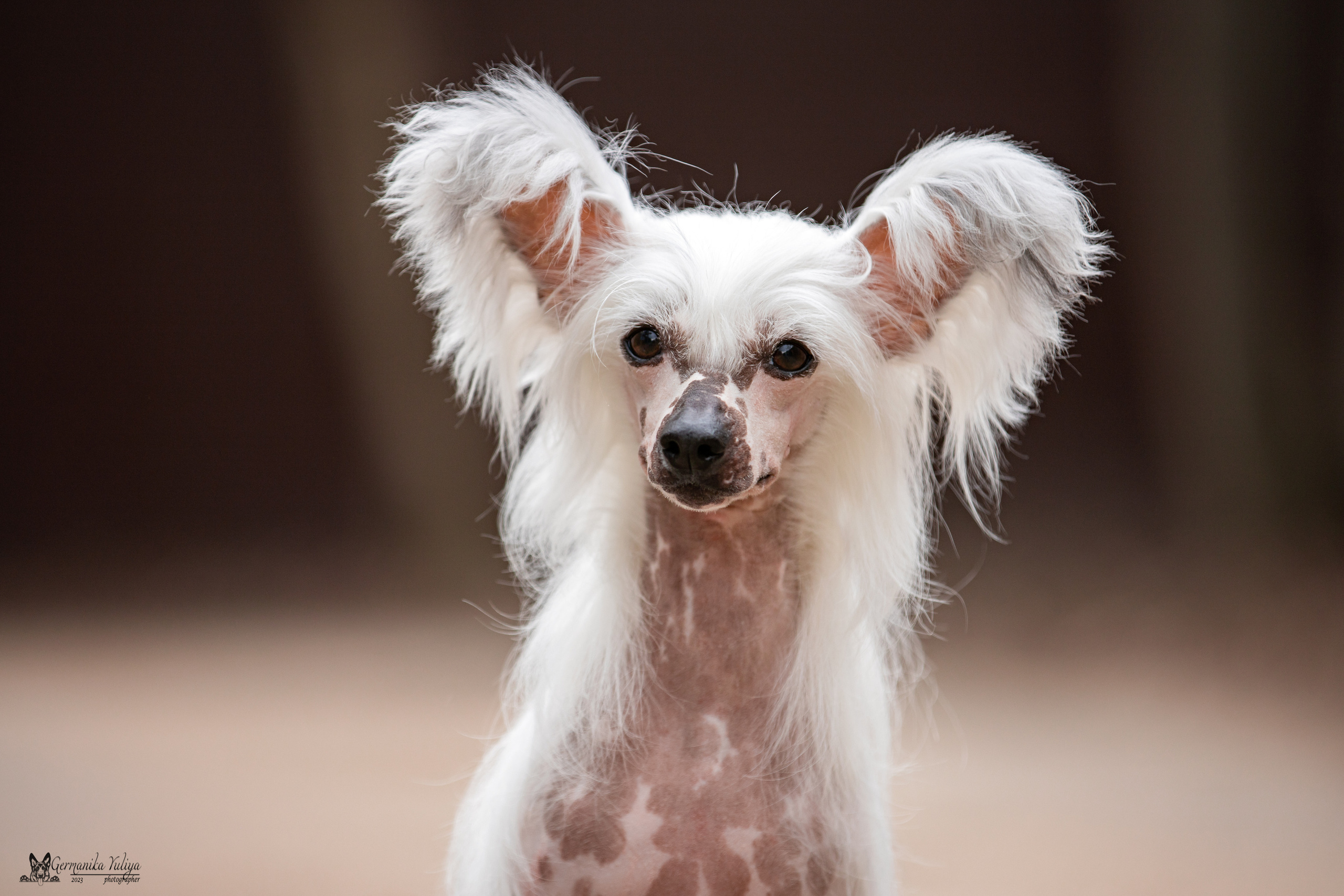 Сфера+МД 8-9.04.2023