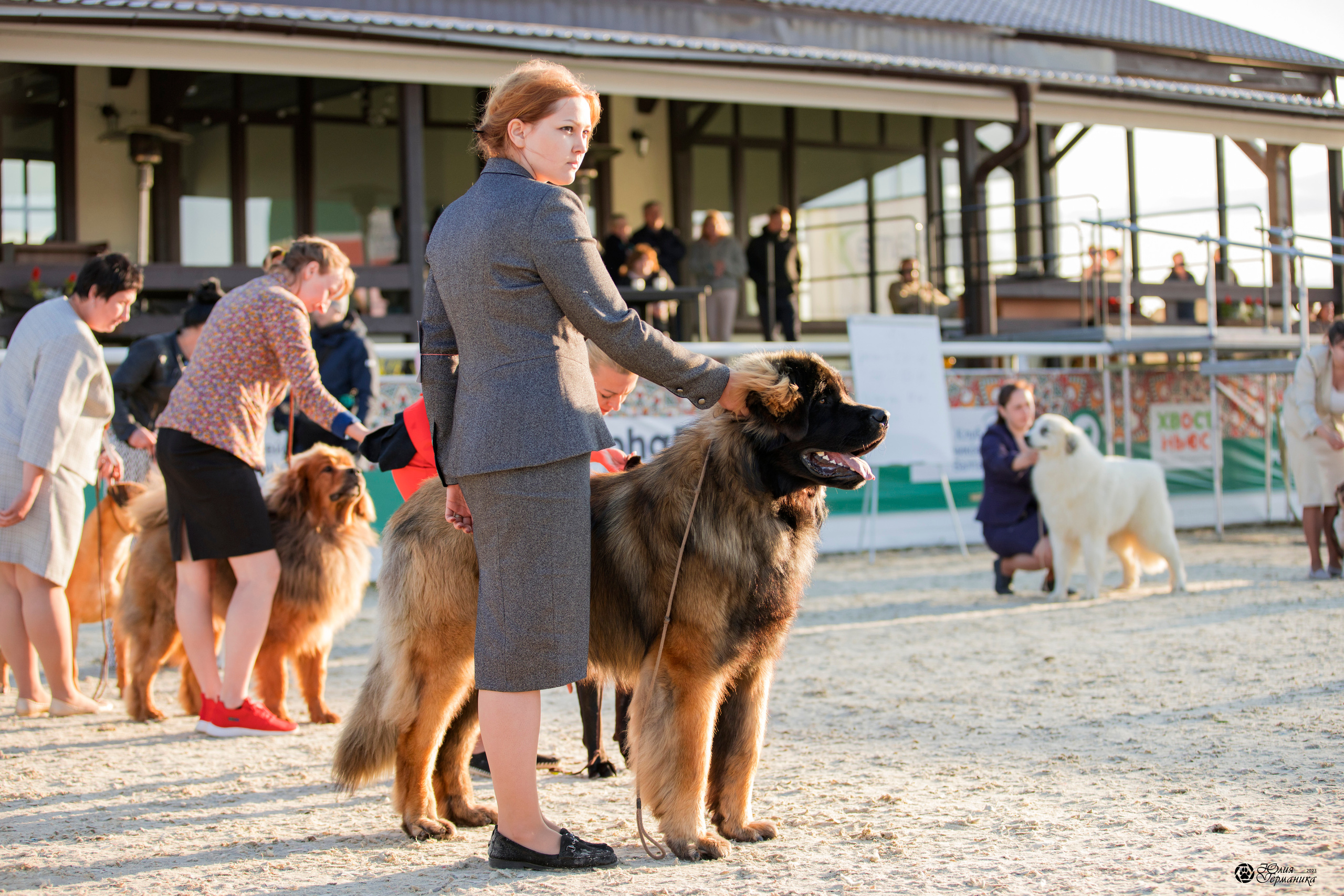 Россия 10-11.06.2023. Фотограф-анималист Юлия Германика