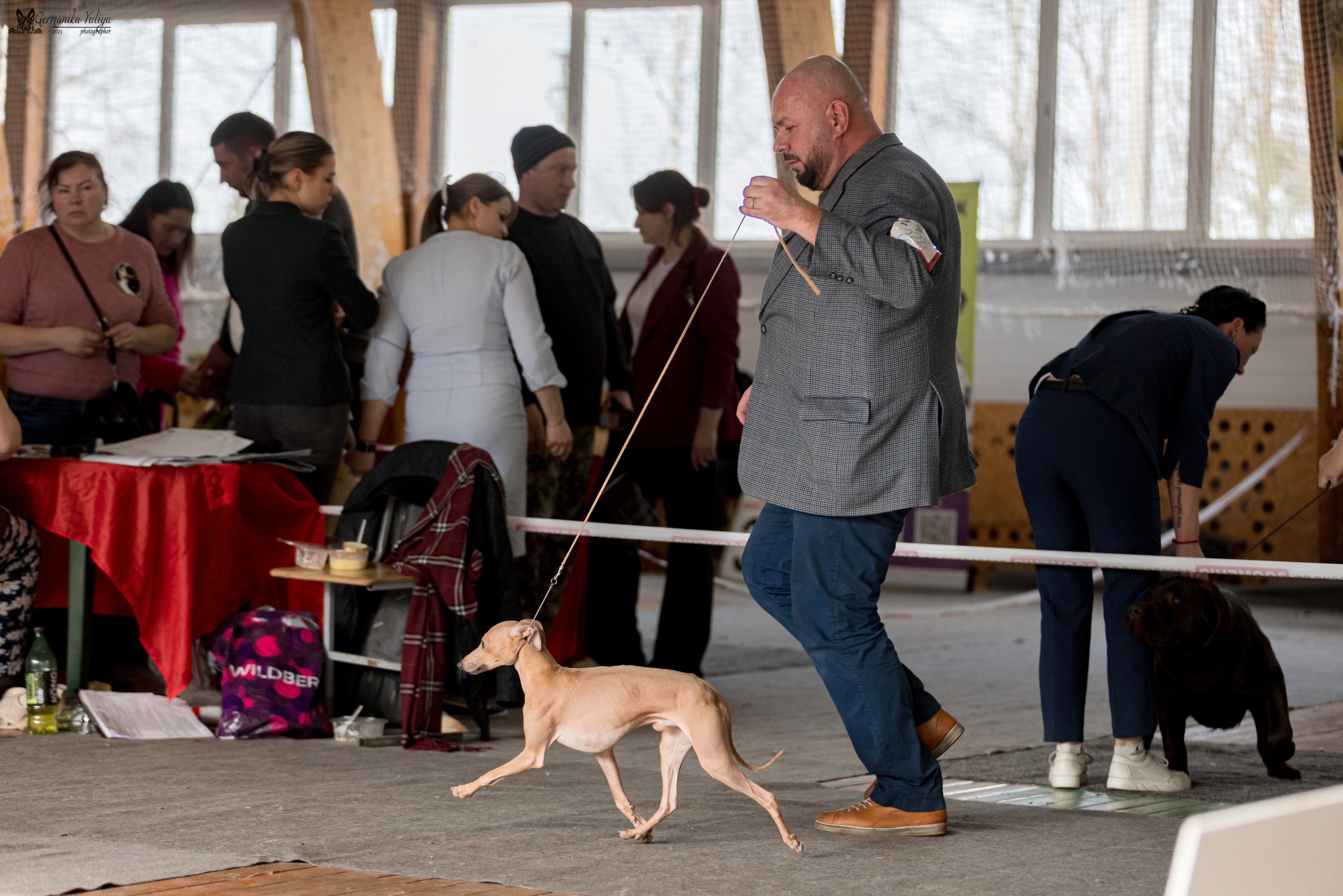 Тверь 01.04.2023. Фотограф-анималист Юлия Германика